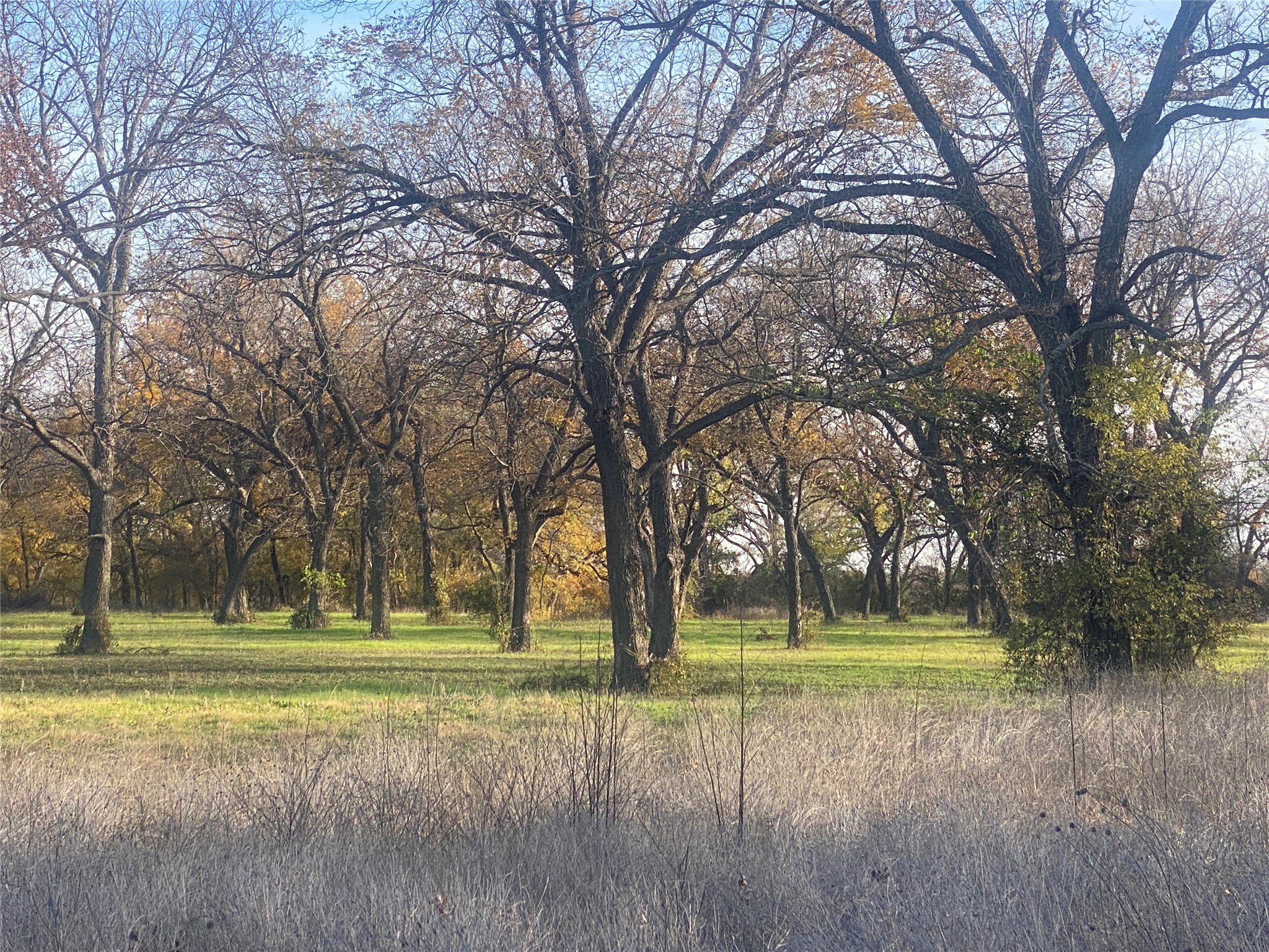 1251 Cr 360 Gustine TX 67455