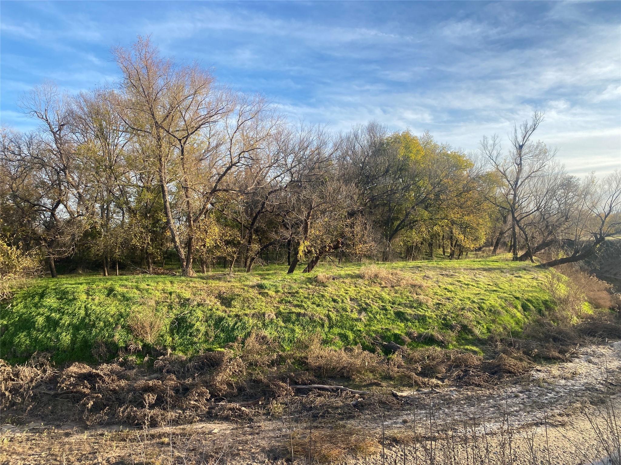 1251 Cr 360 Gustine TX 67455