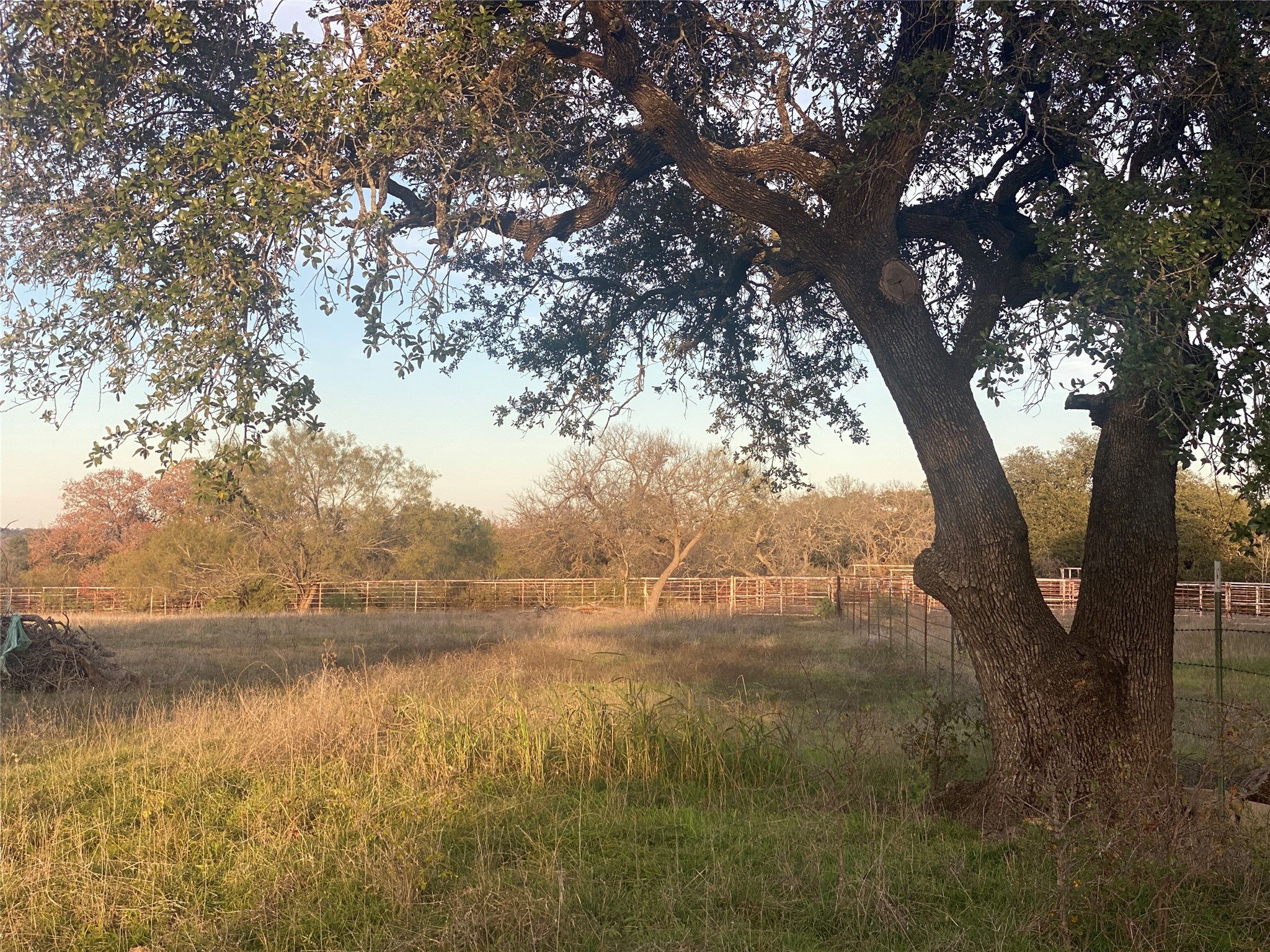 1251 Cr 360 Gustine TX 67455