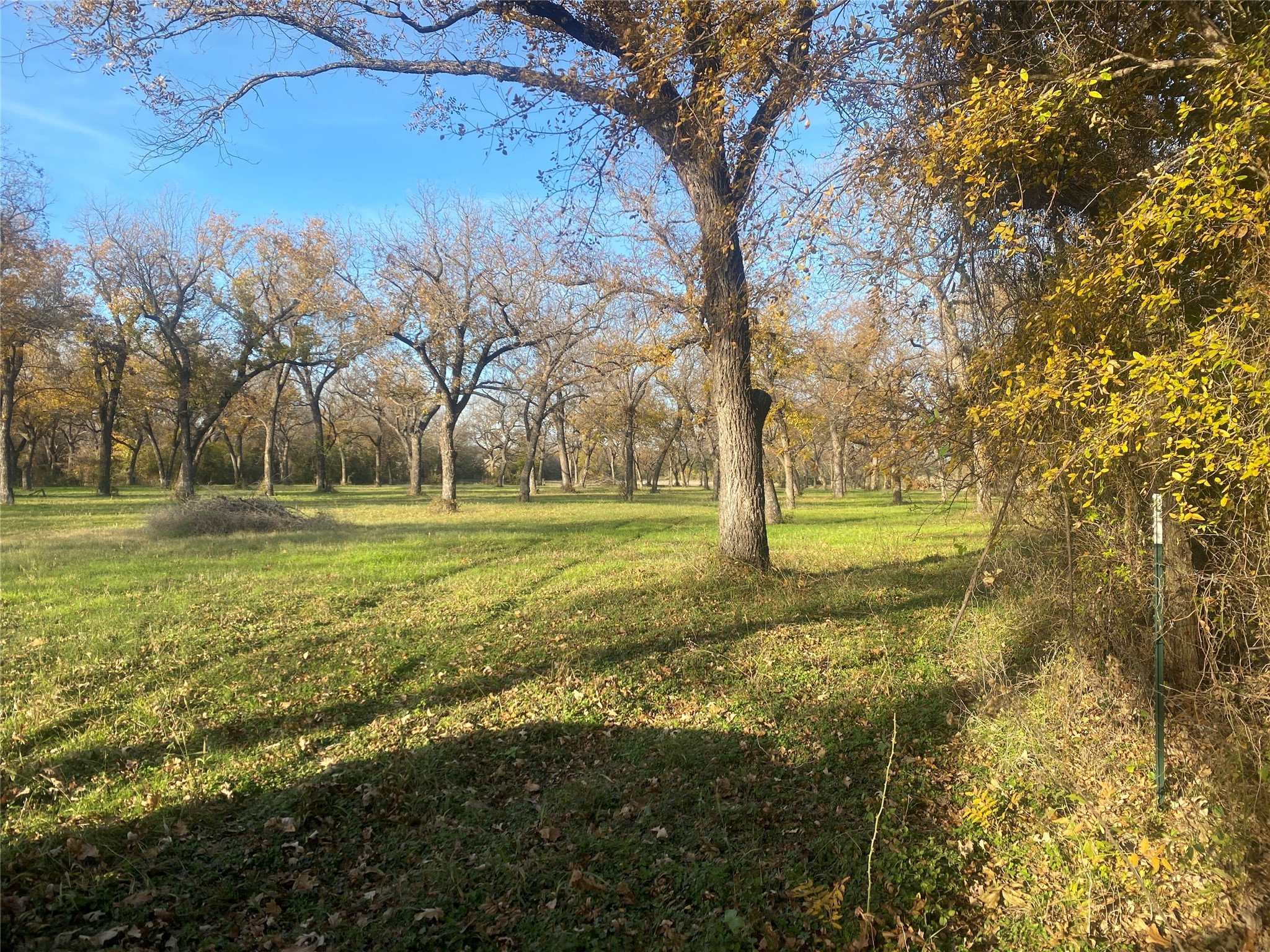 1251 Cr 360 Gustine TX 67455