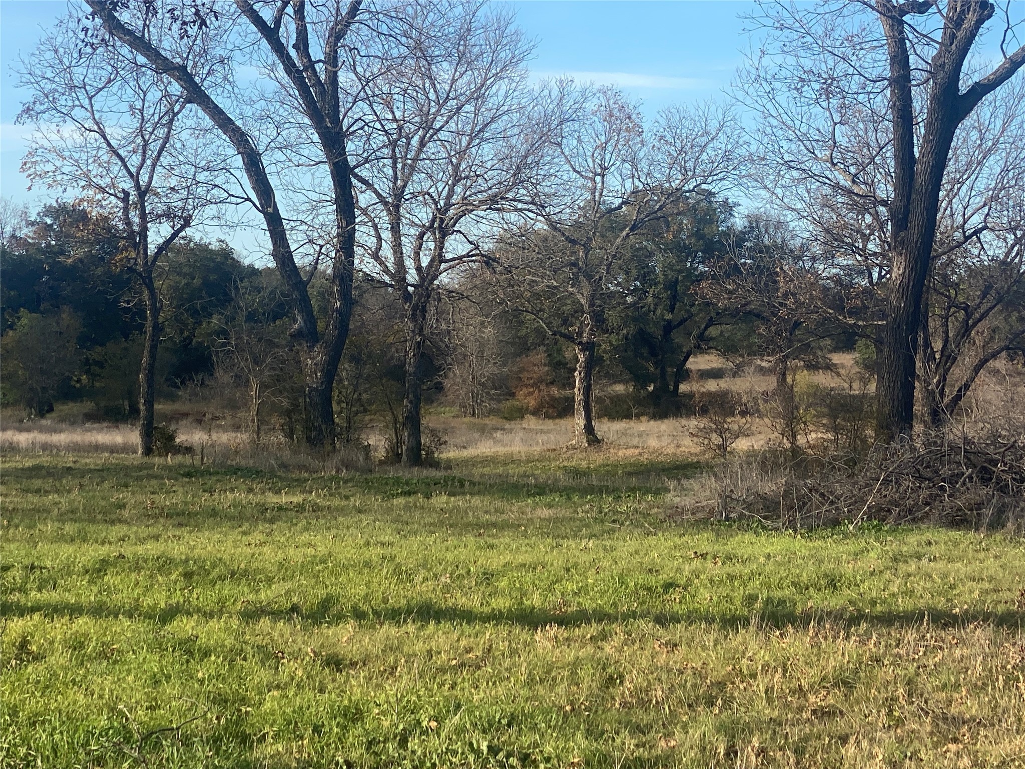 1251 Cr 360 Gustine TX 67455