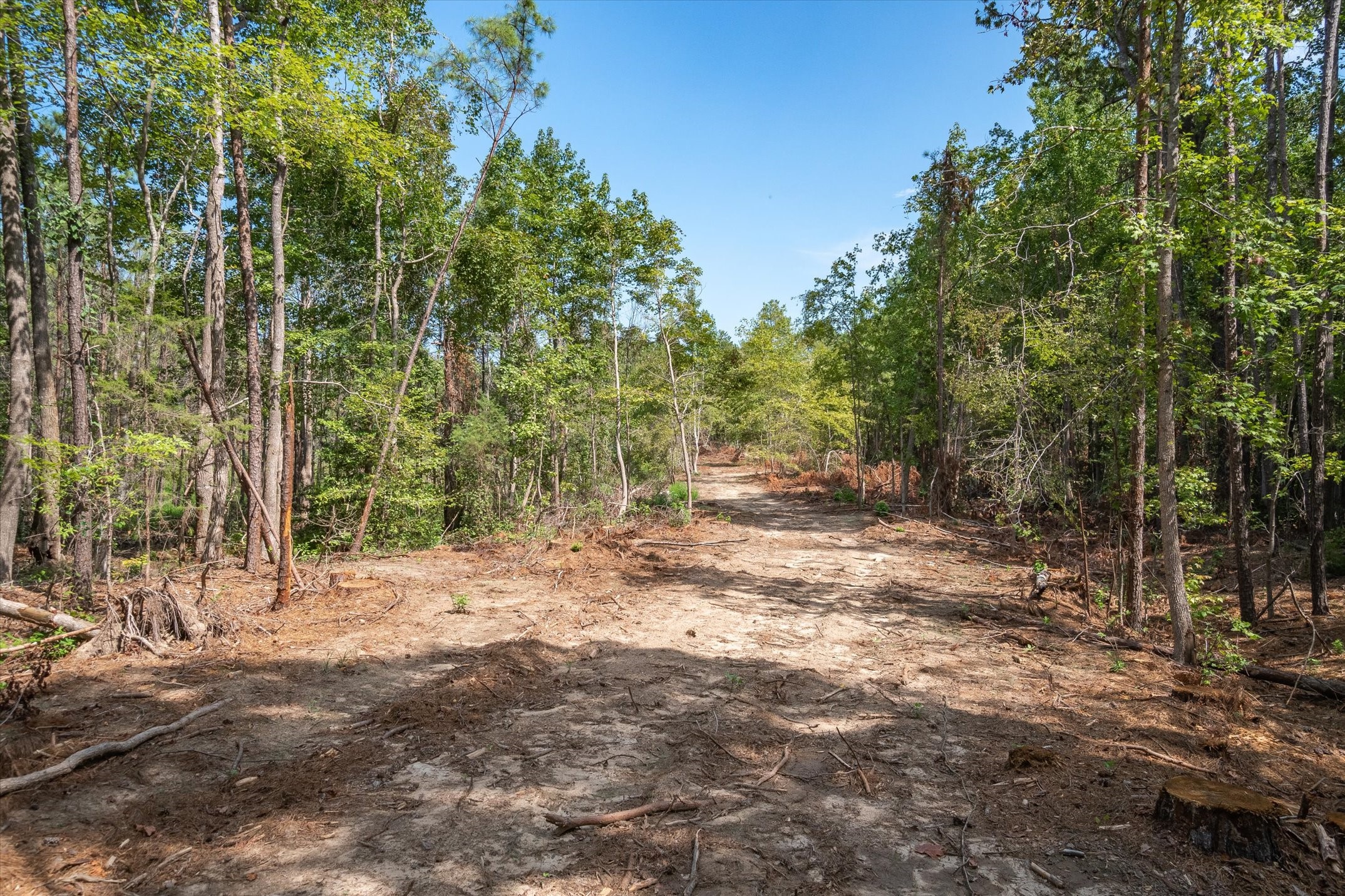 19451 County Road 4307 Road Larue TX 75770
