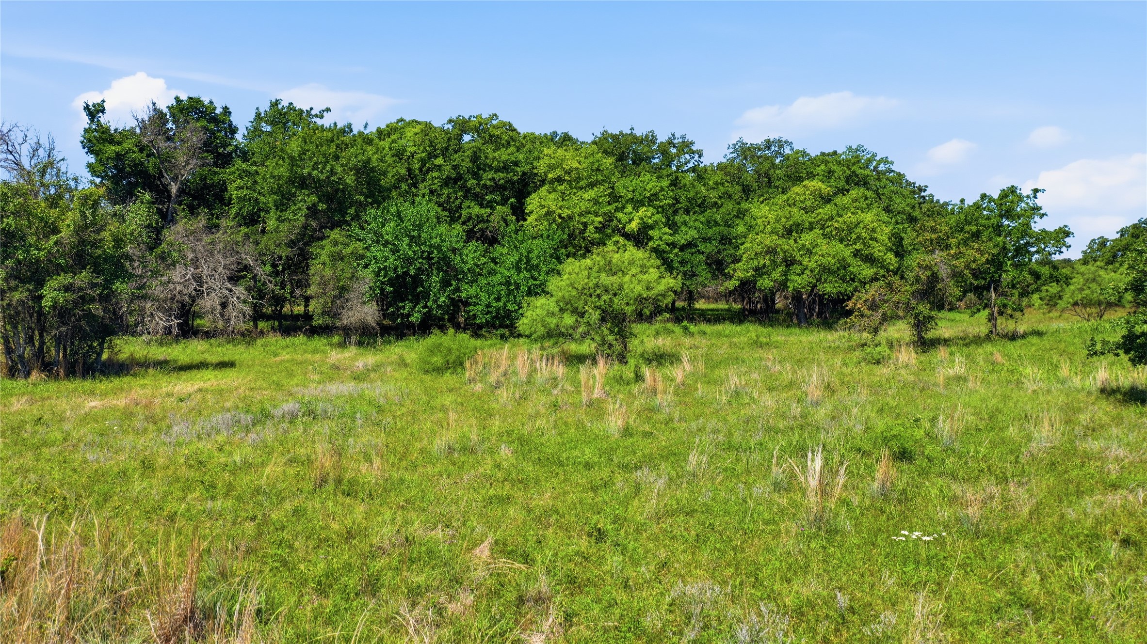 Tbd-a Cornerstone Road Poolville TX 76487
