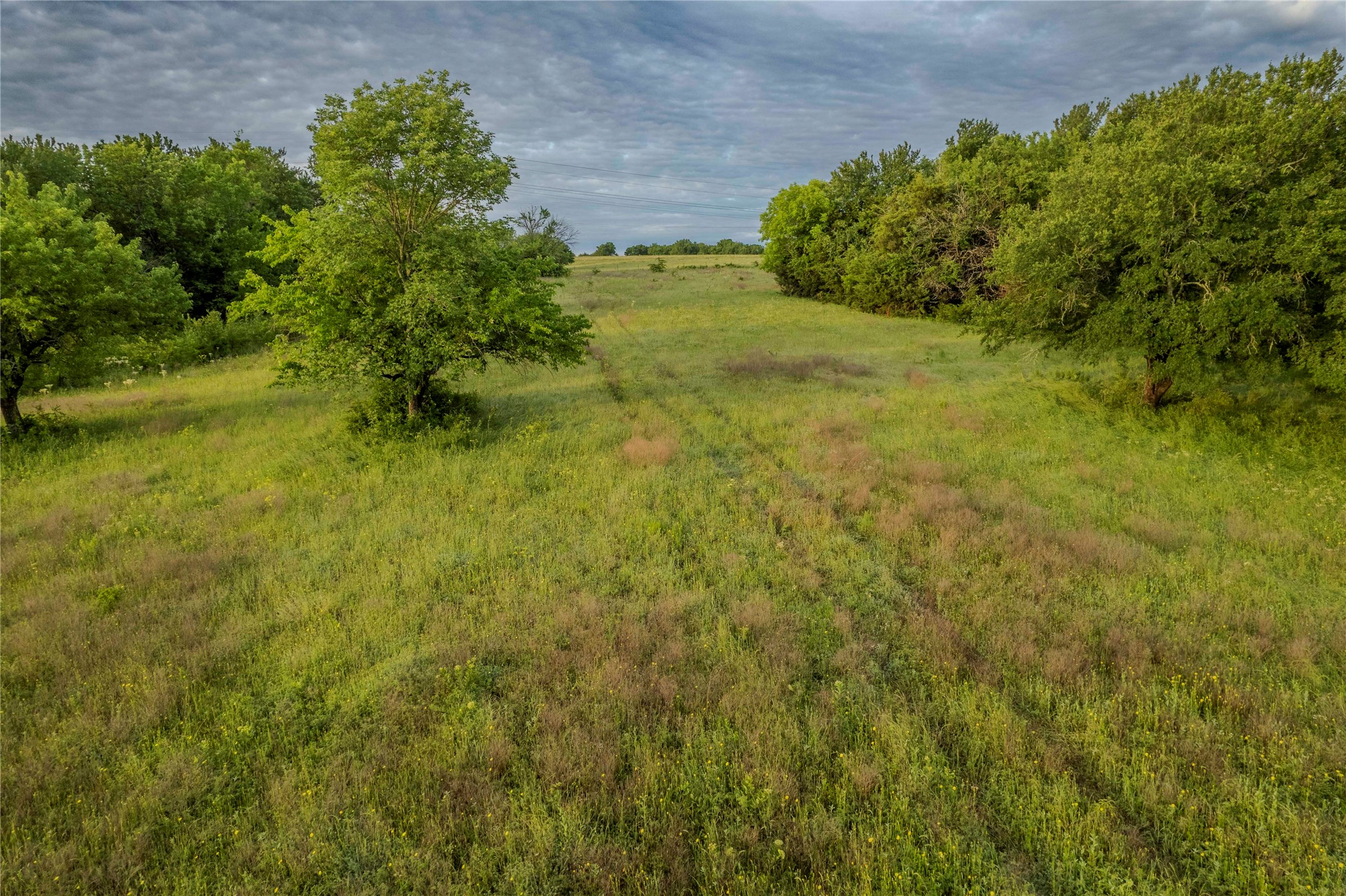 Tbd County Road 1444 Bonham TX 75418