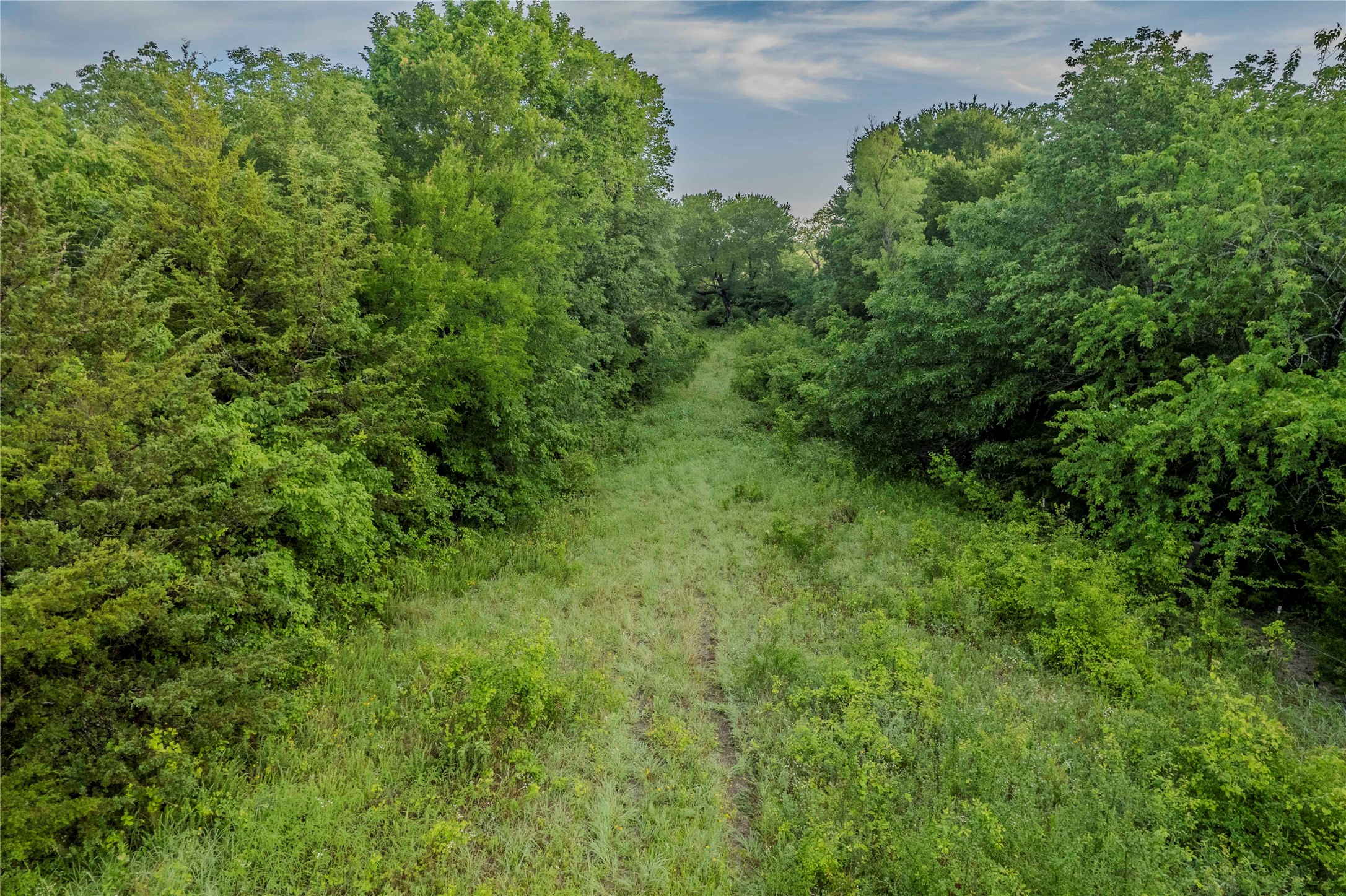 Tbd County Road 1444 Bonham TX 75418