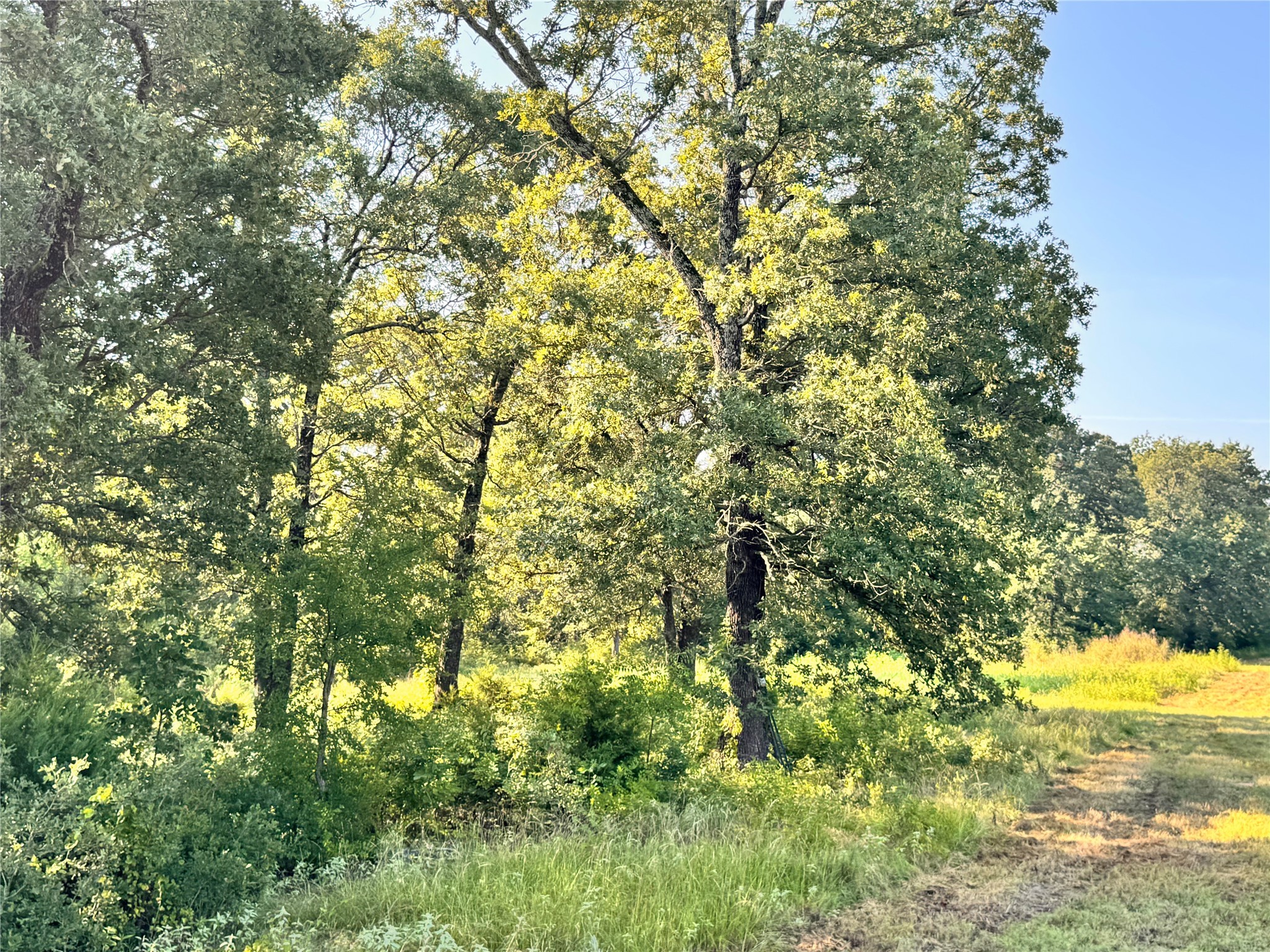 Tbd Fm 513 East Tawakoni TX 75472