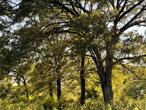 Tbd Fm 513 East Tawakoni TX 75472