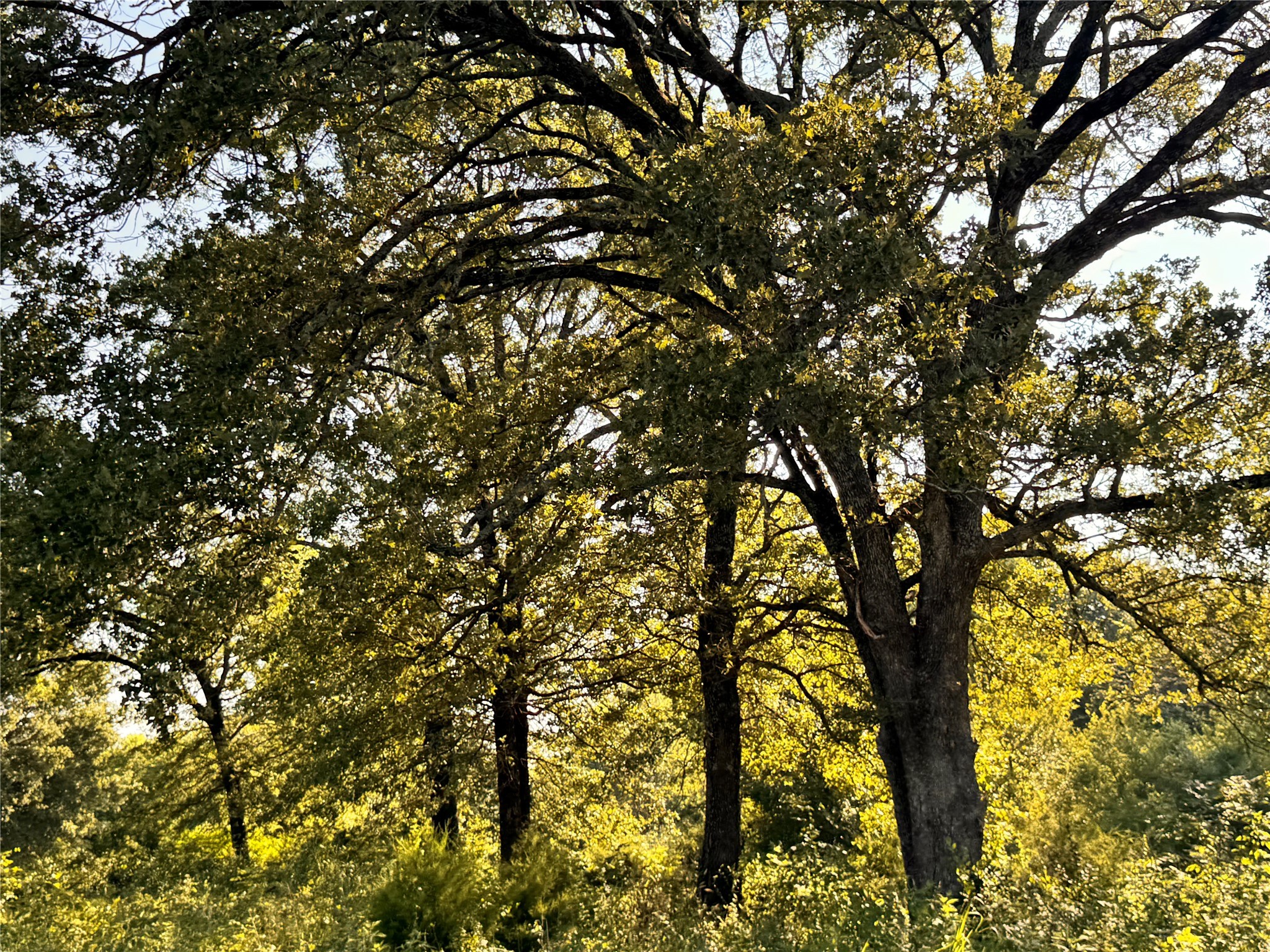 Tbd Fm 513 East Tawakoni TX 75472