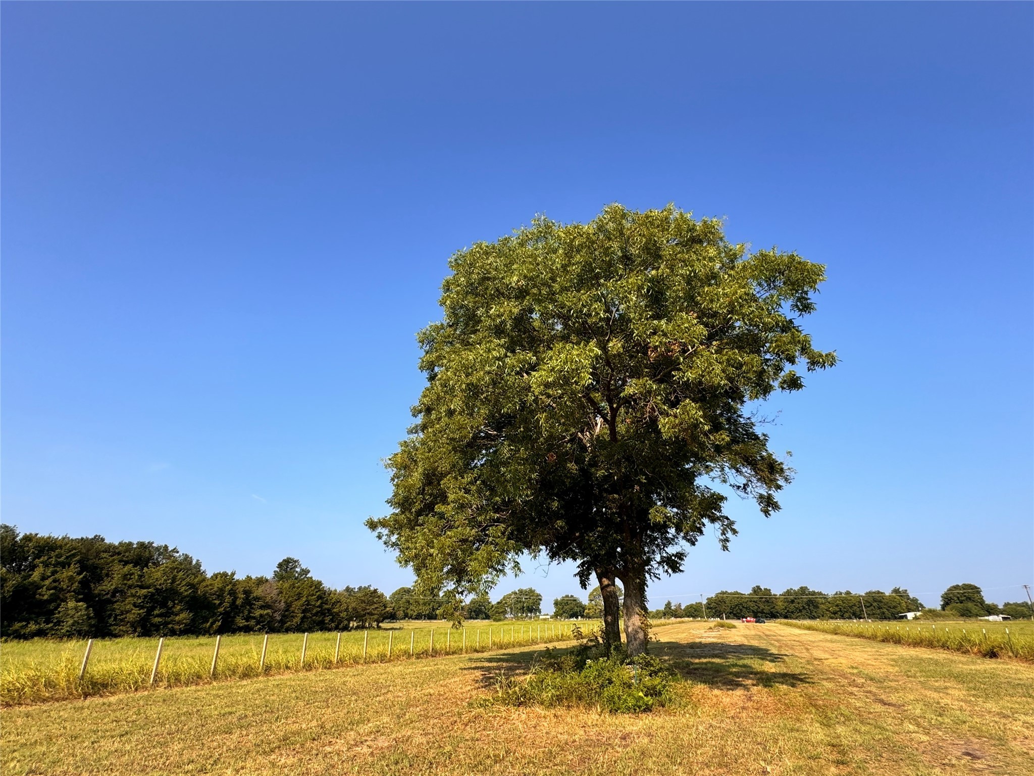 Tbd Fm 513 East Tawakoni TX 75472