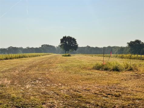Tbd Fm 513 East Tawakoni TX 75472