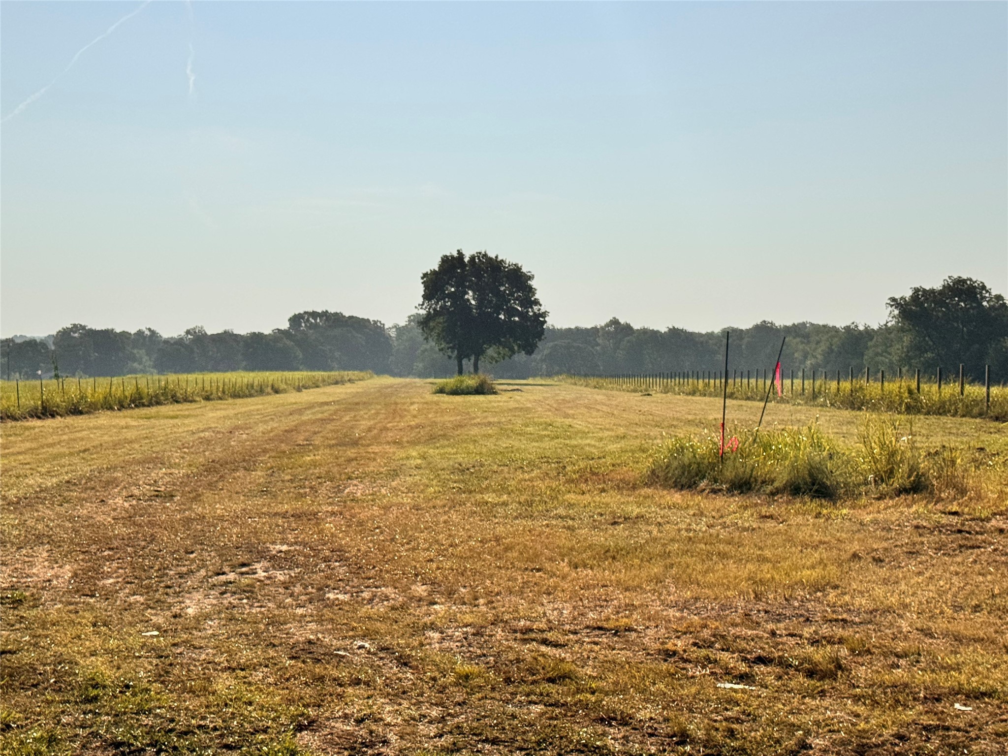 Tbd Fm 513 East Tawakoni TX 75472
