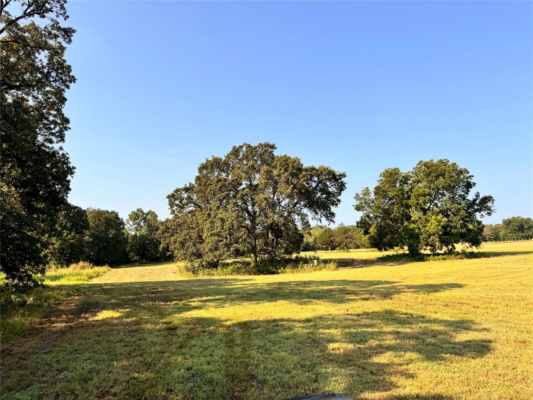 Tbd Fm 513 East Tawakoni TX 75472