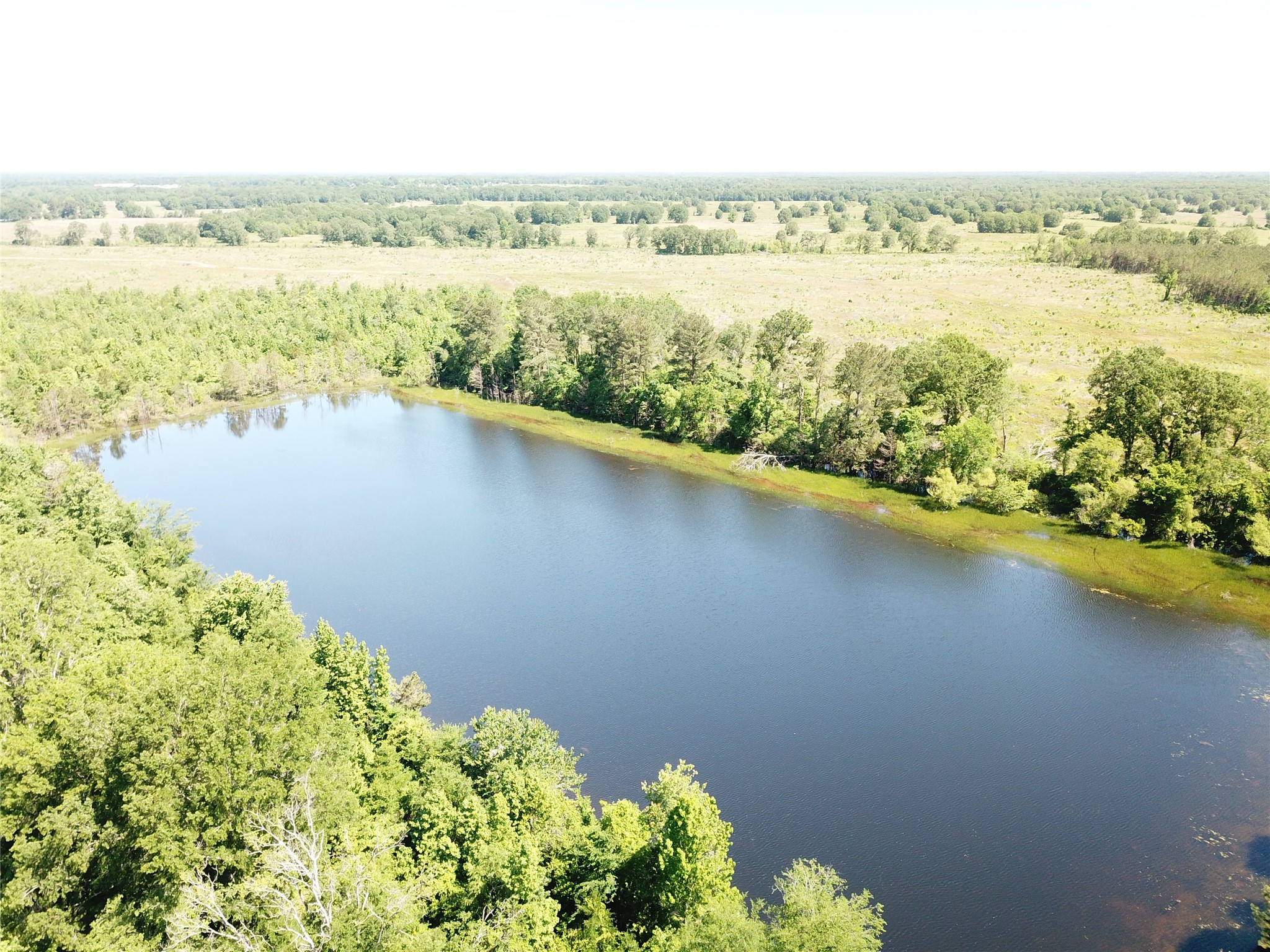 00 County Road 4308 Simms TX 75574