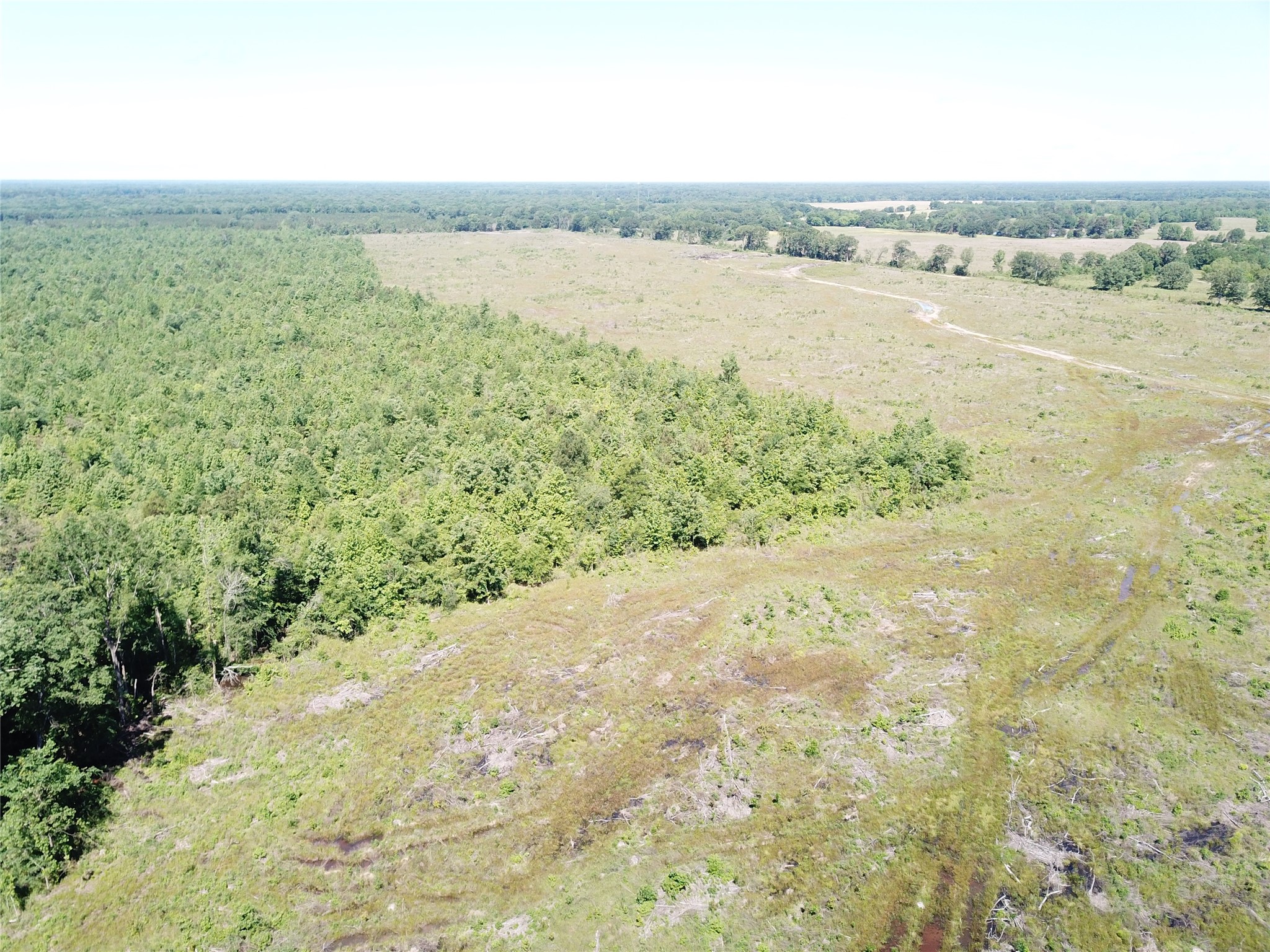 00 County Road 4308 Simms TX 75574