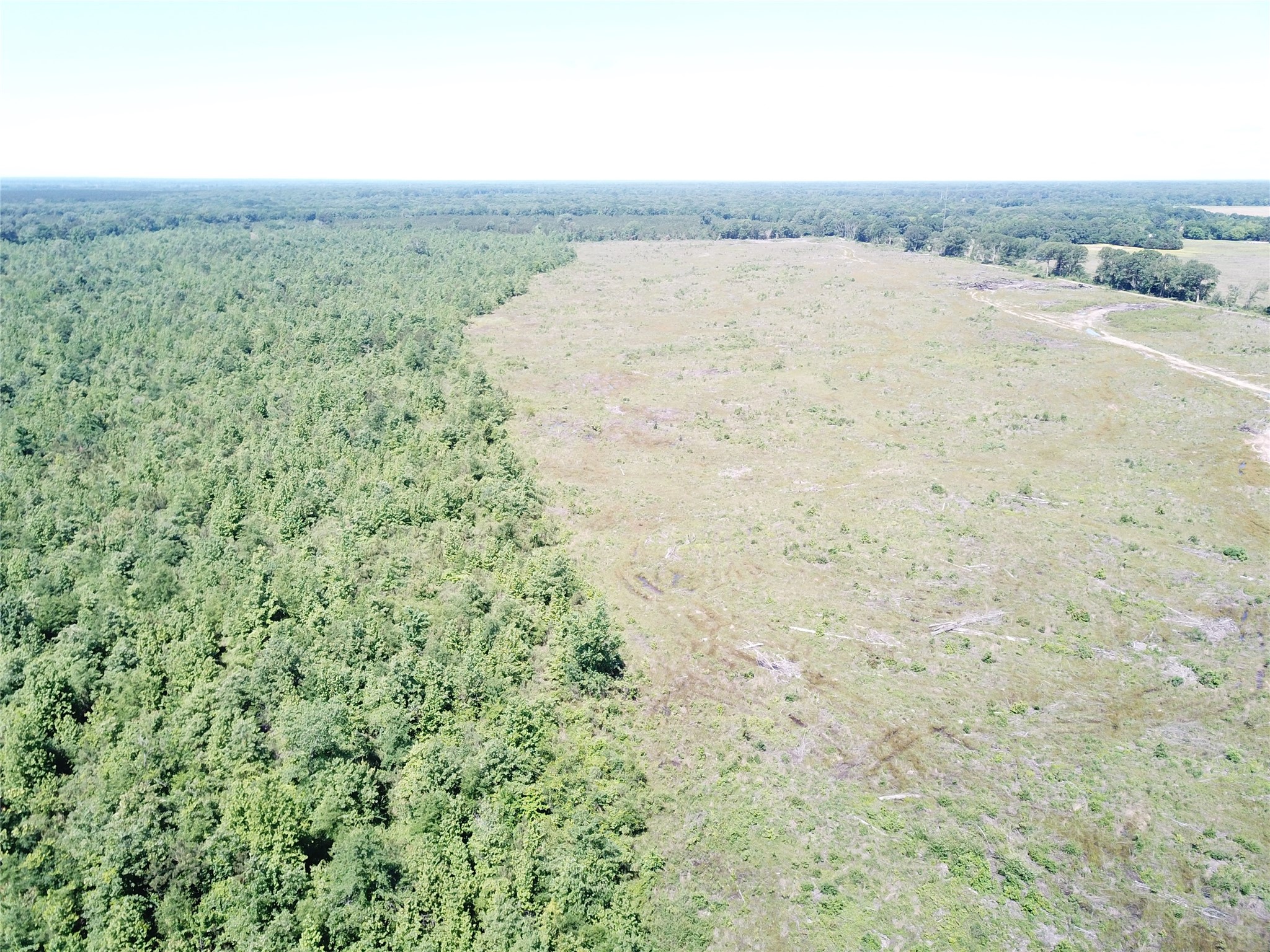 00 County Road 4308 Simms TX 75574