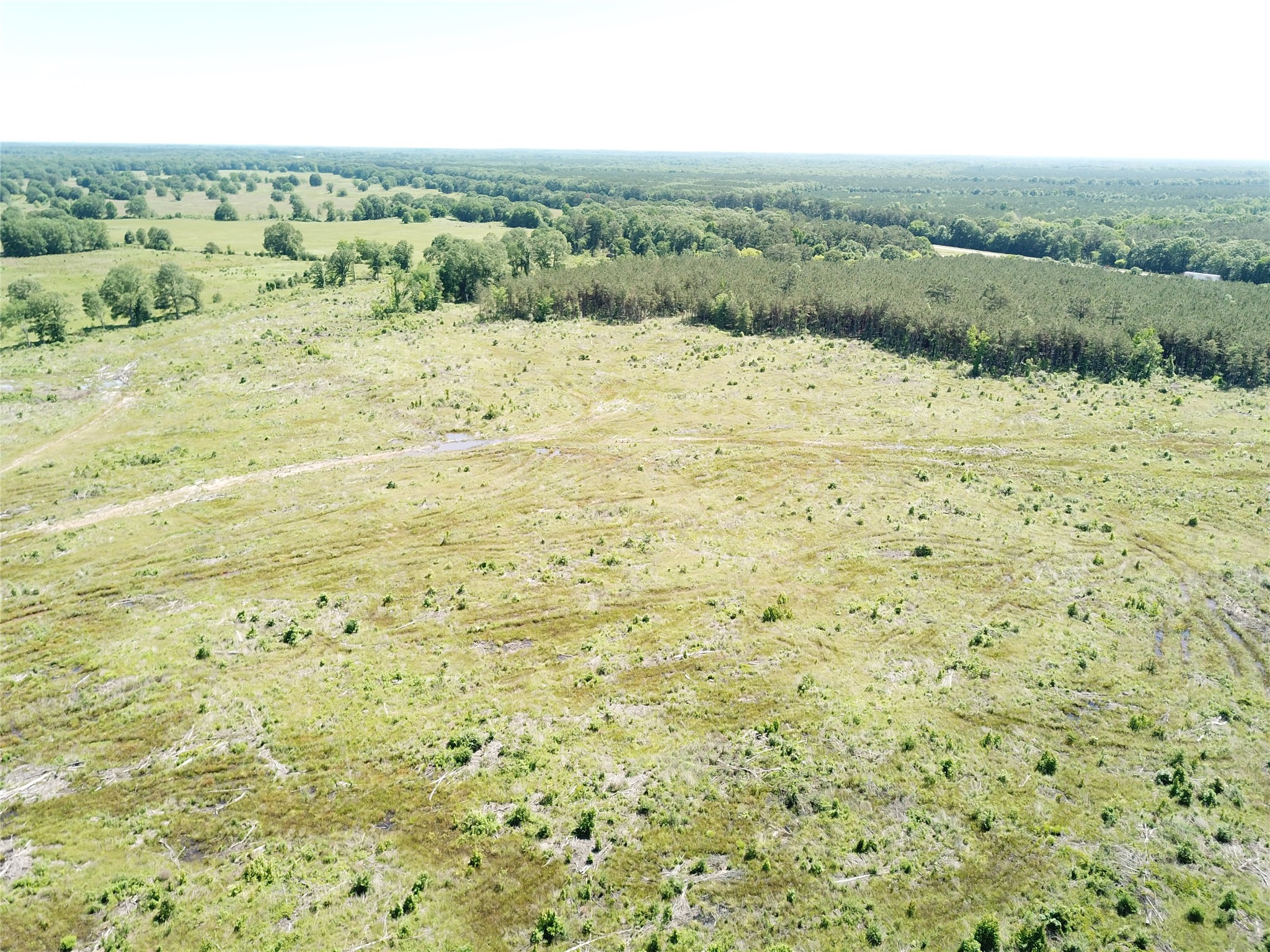 00 County Road 4308 Simms TX 75574