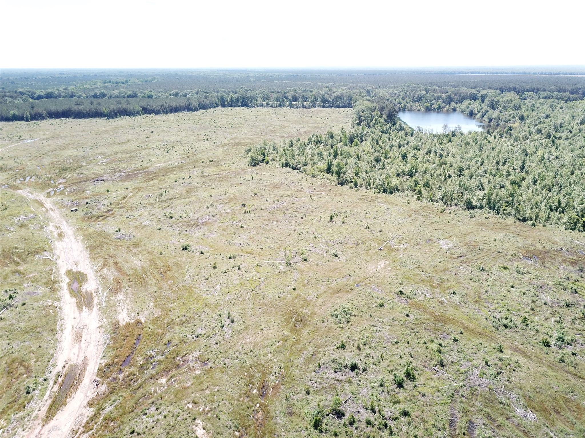 00 County Road 4308 Simms TX 75574