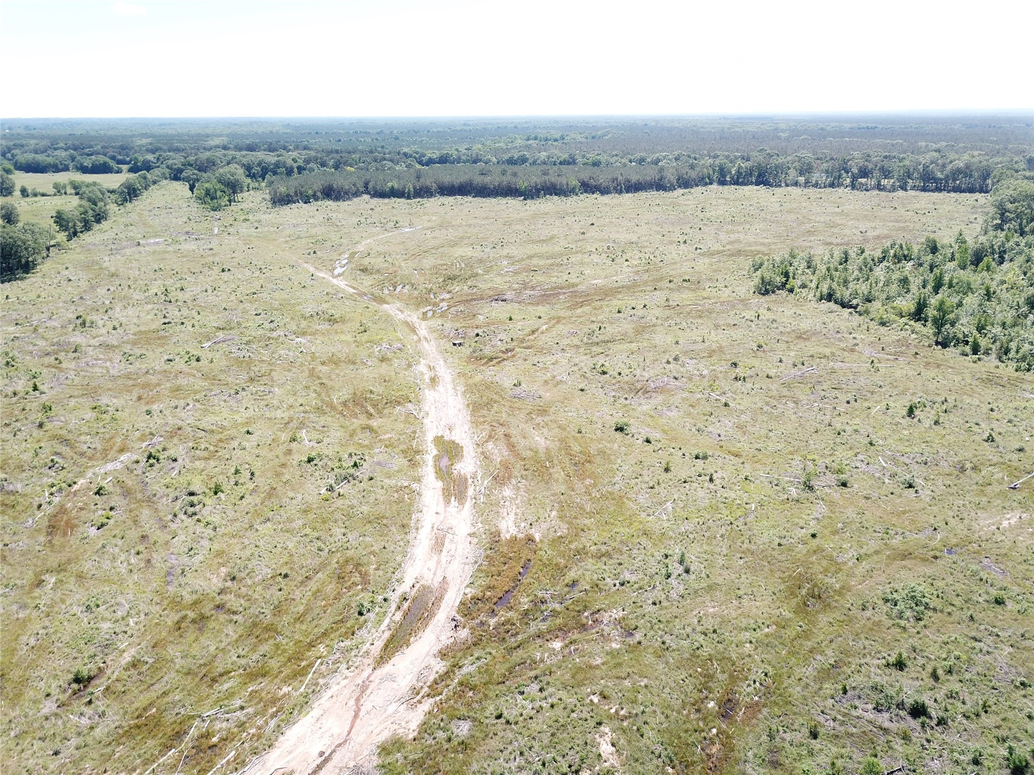 00 County Road 4308 Simms TX 75574