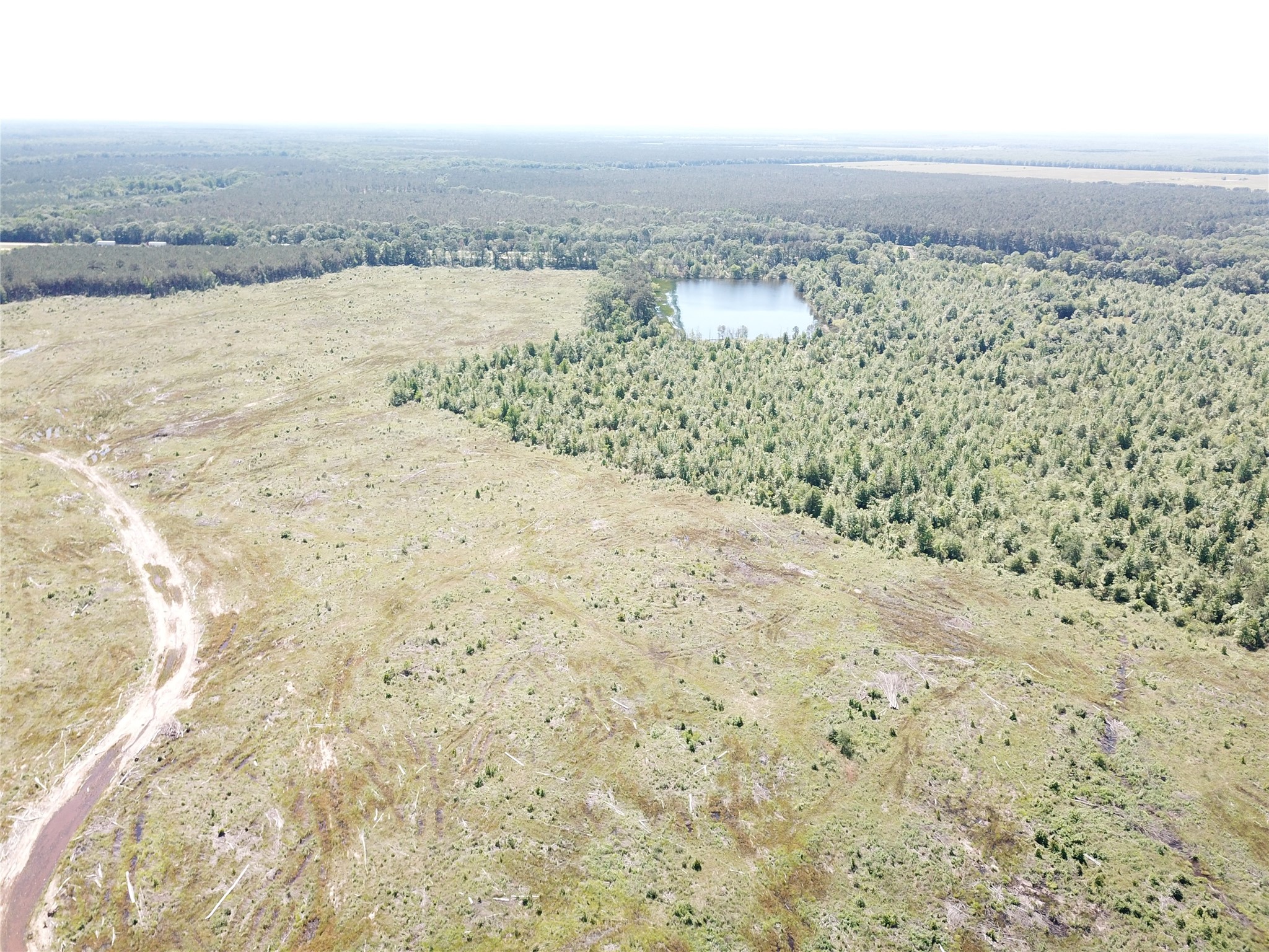 00 County Road 4308 Simms TX 75574