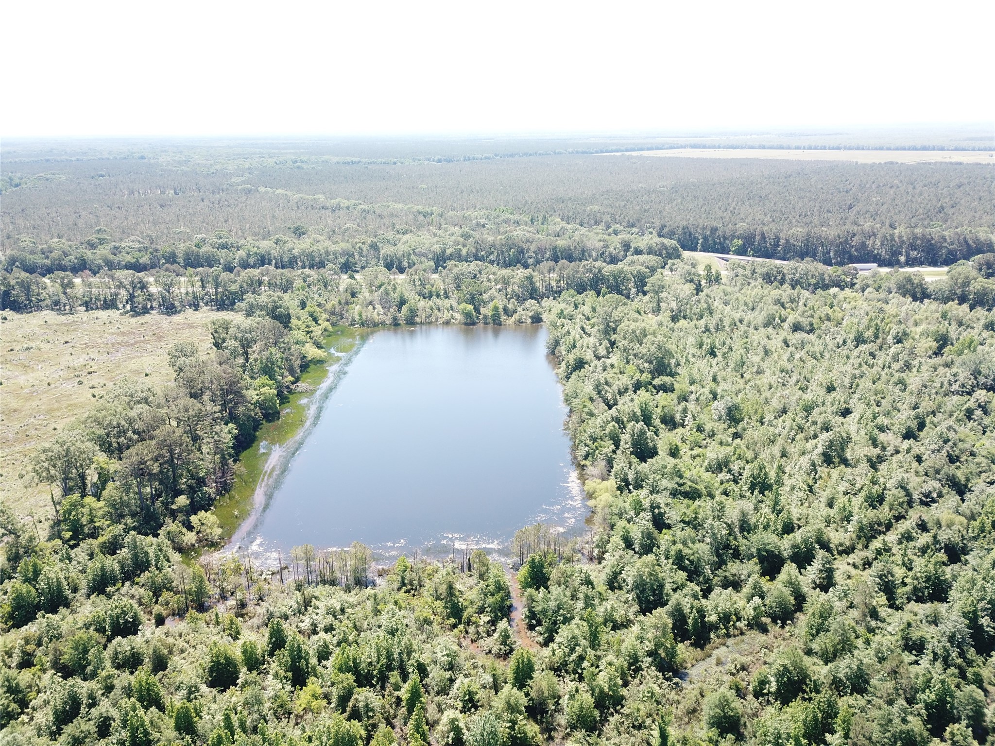00 County Road 4308 Simms TX 75574
