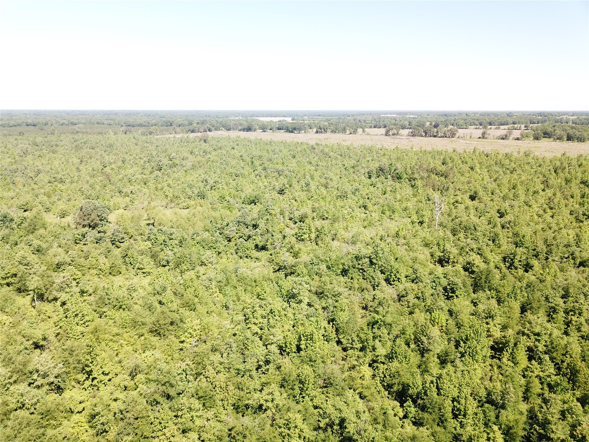 00 County Road 4308 Simms TX 75574