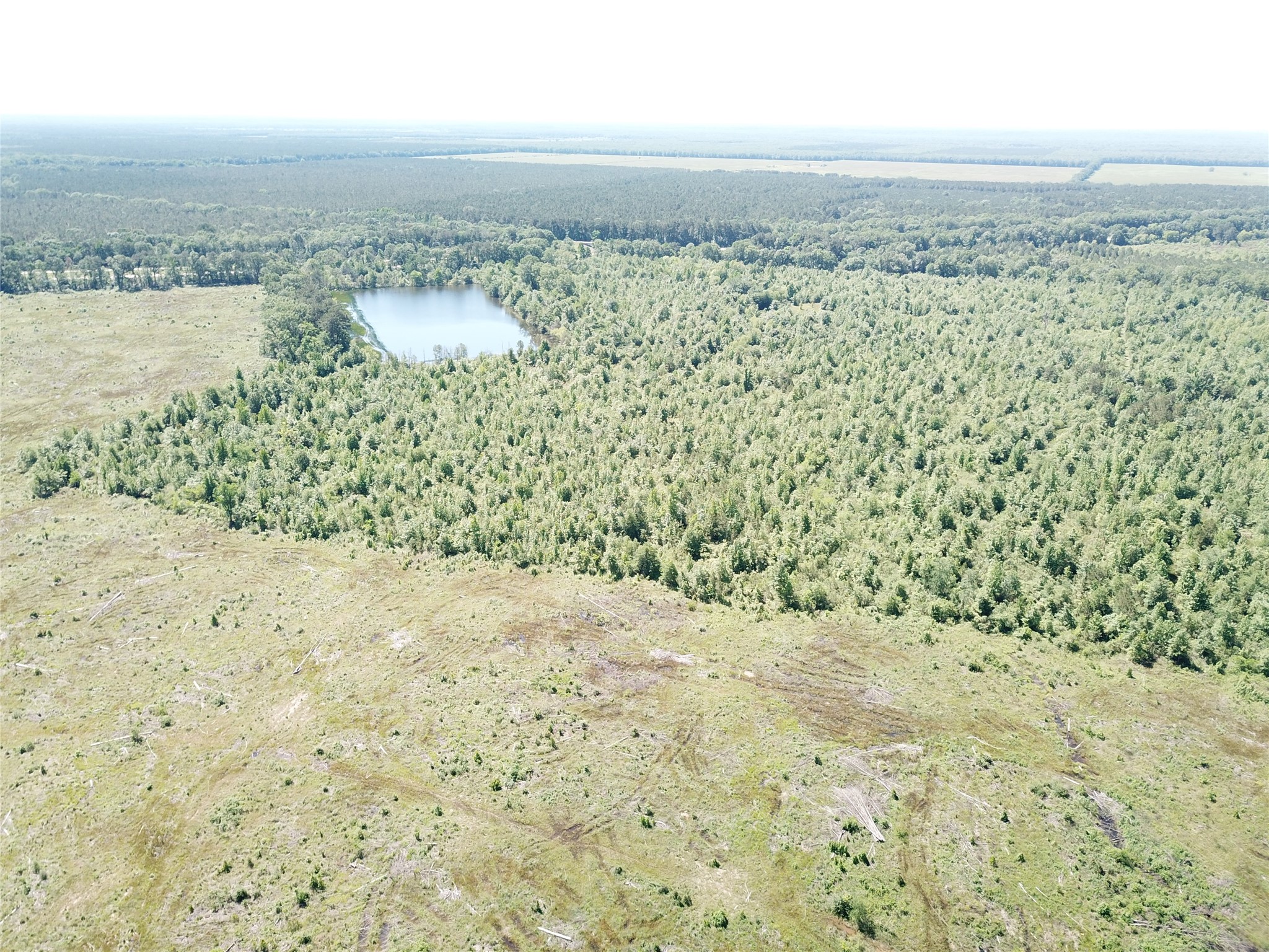 00 County Road 4308 Simms TX 75574