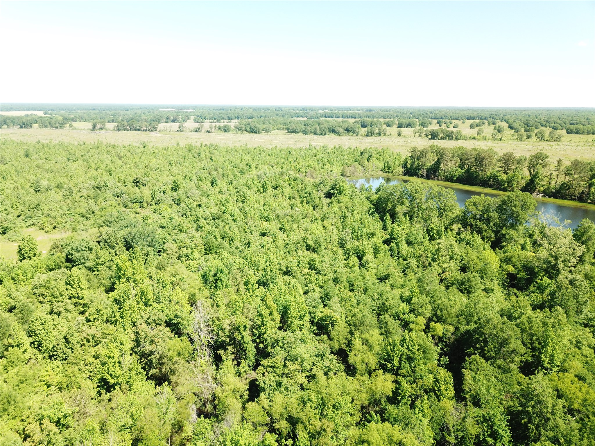 00 County Road 4308 Simms TX 75574