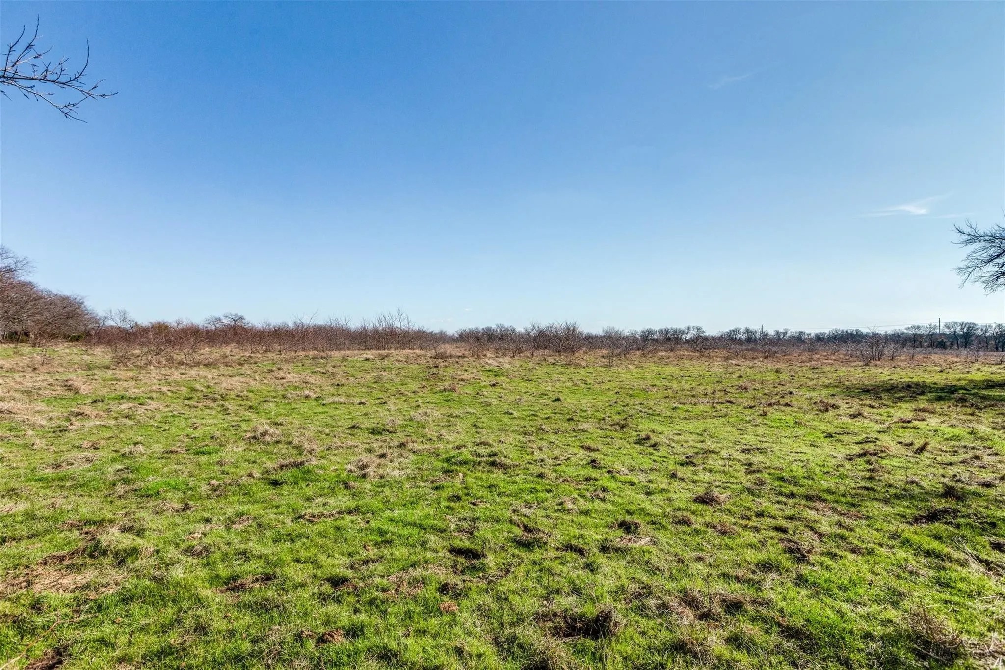 8069 County Road 623 Farmersville TX 75442