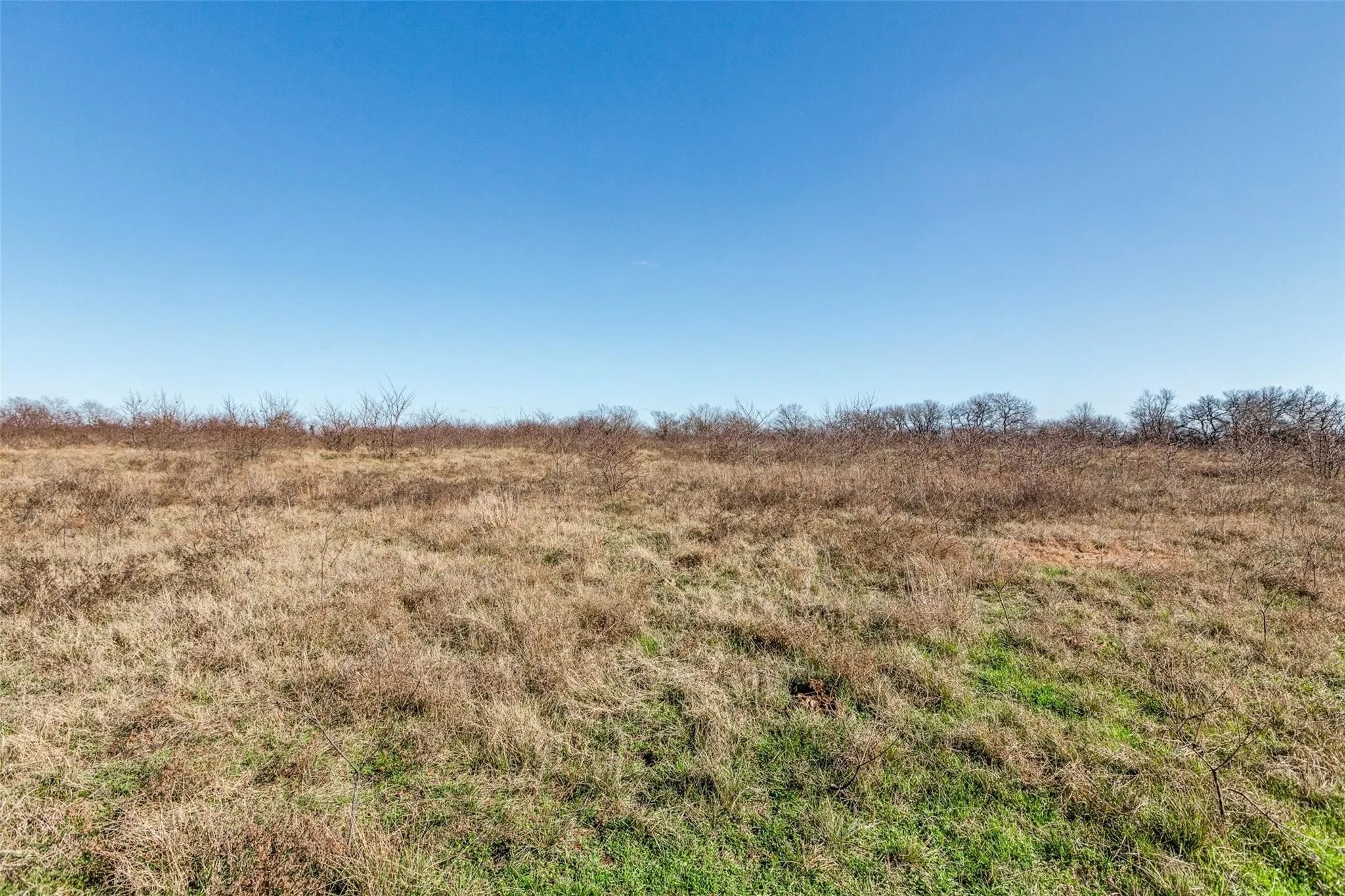 8069 County Road 623 Farmersville TX 75442