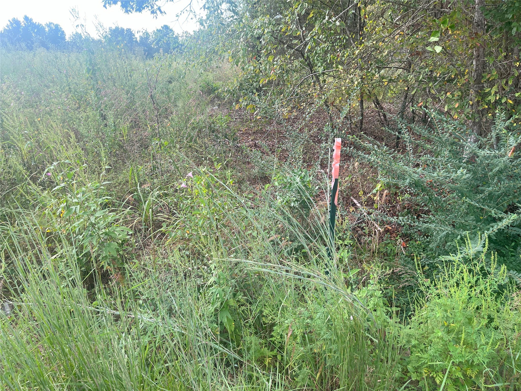 Tbd Myrtle Drive Jacksonville TX 75766