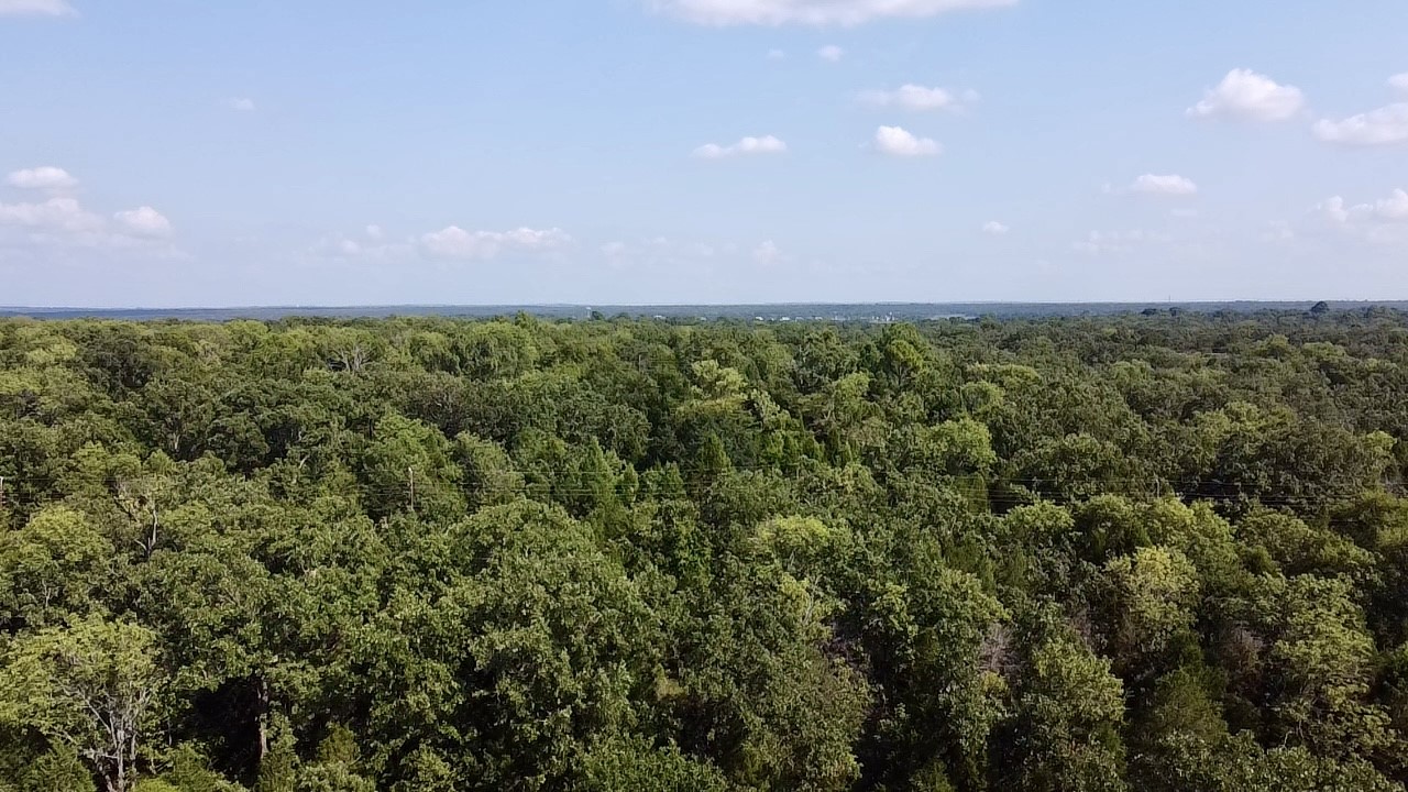 0000 Paladin Drive Log Cabin TX 75148