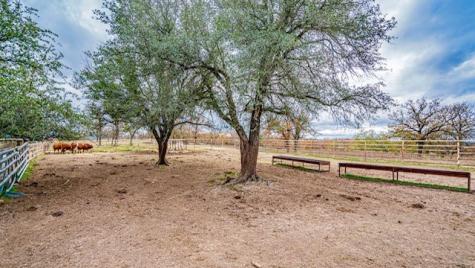 1201 Pear Orchard Road Granbury TX 76048