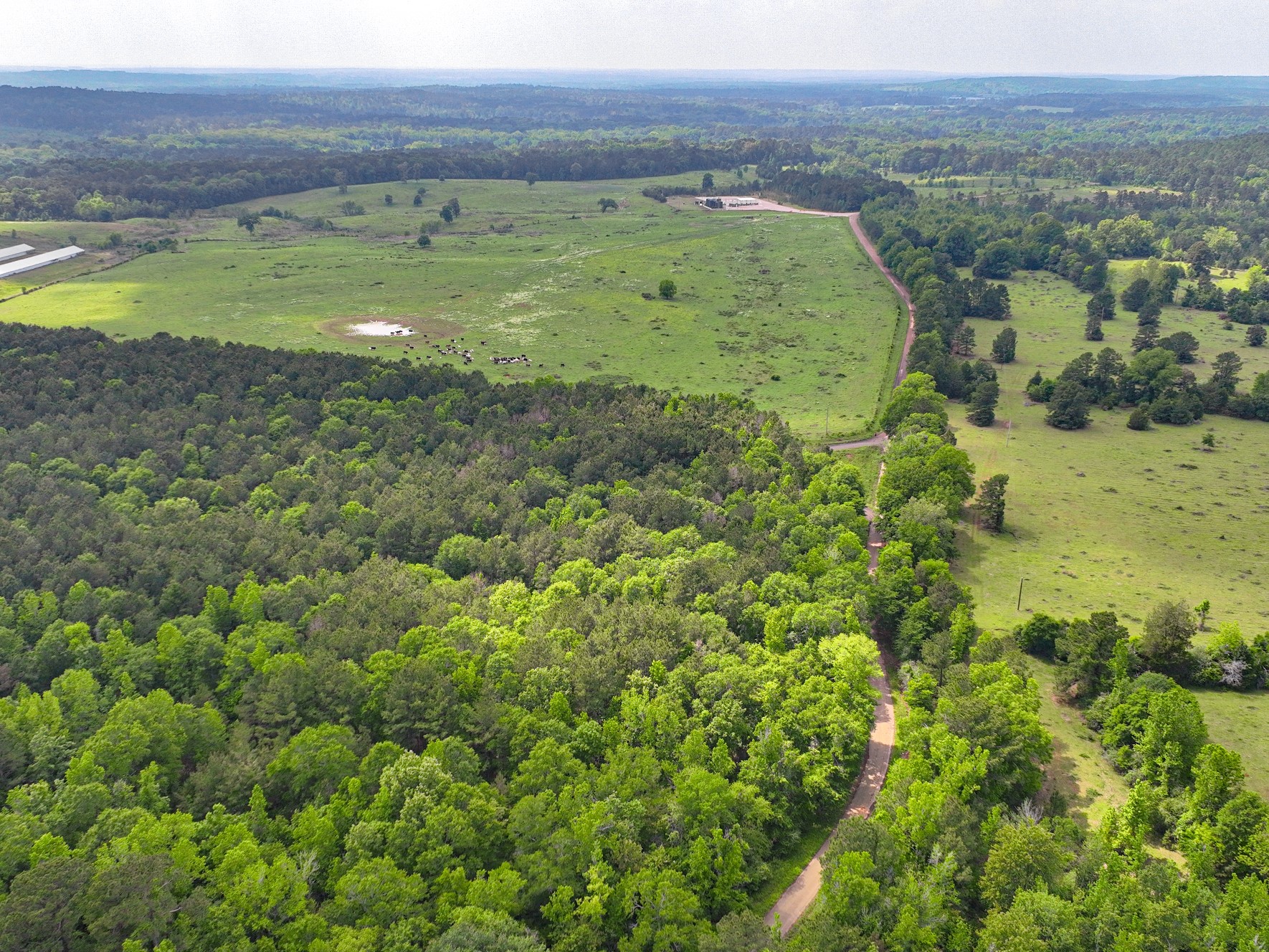 Tbd Kings Road Hemphill TX 75972