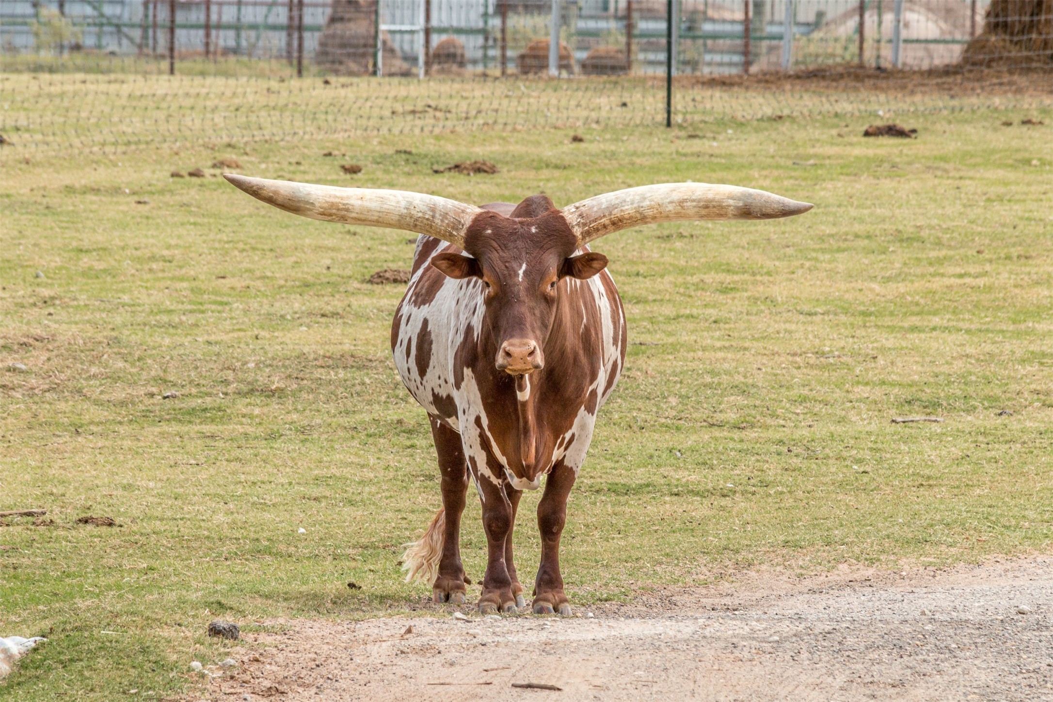 Tbd W Highway 79 Franklin TX 77856
