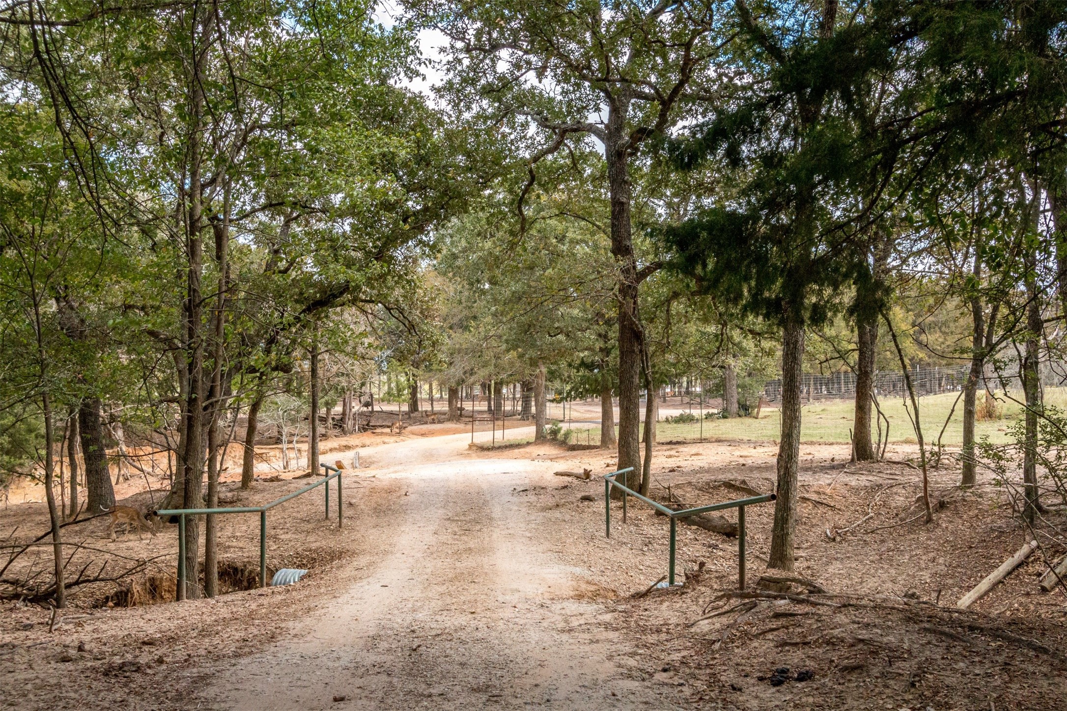 Tbd W Highway 79 Franklin TX 77856