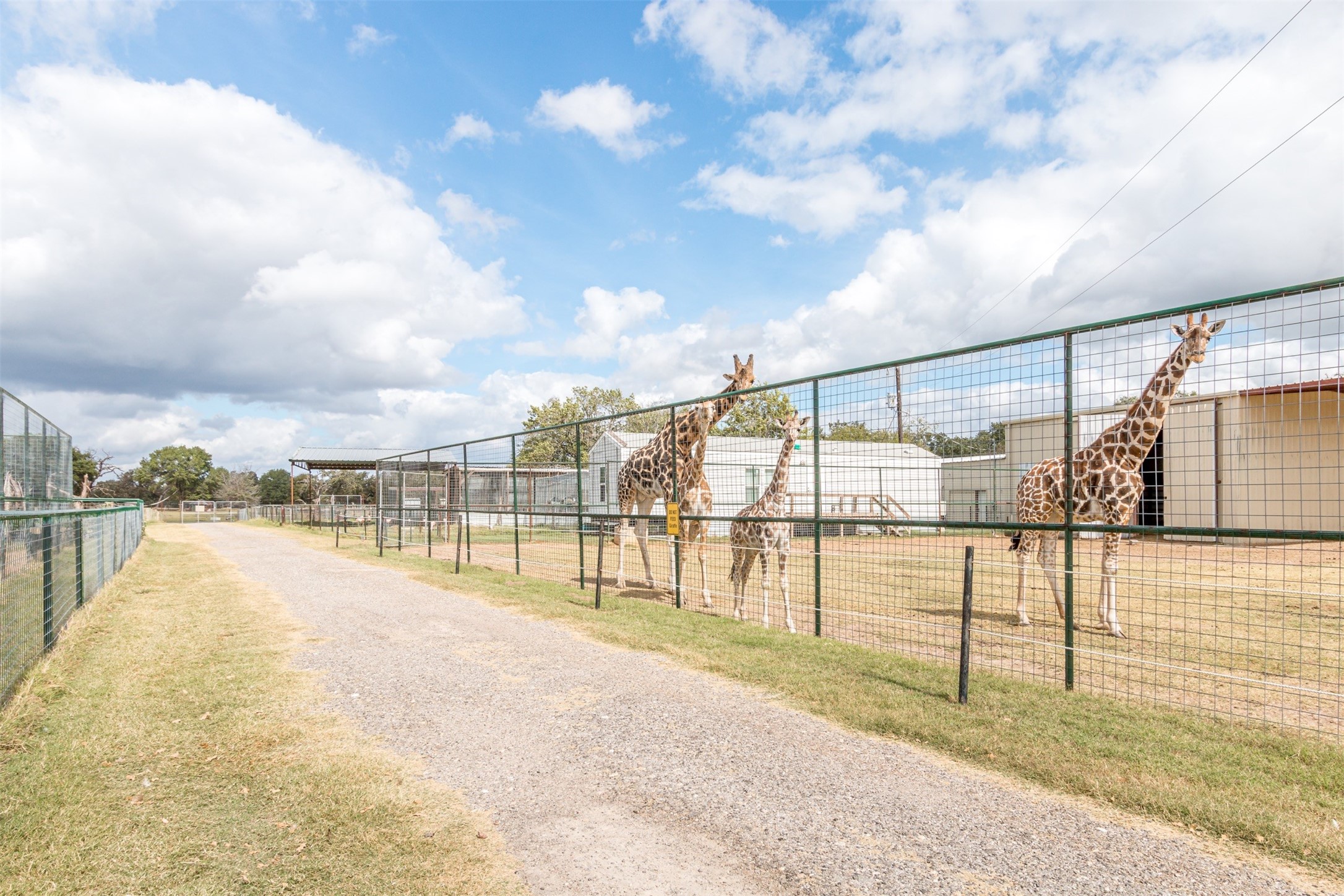 Tbd W Highway 79 Franklin TX 77856