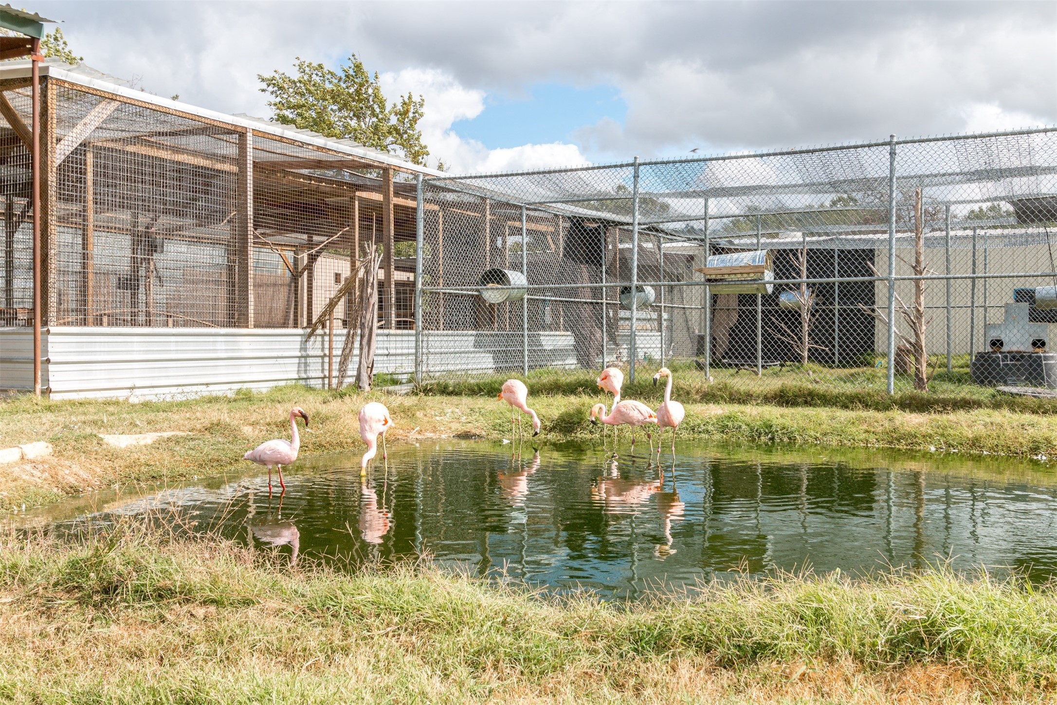 Tbd W Highway 79 Franklin TX 77856