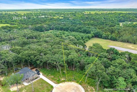 Tbd Lot 30 Lakeview Drive Canton TX 75103