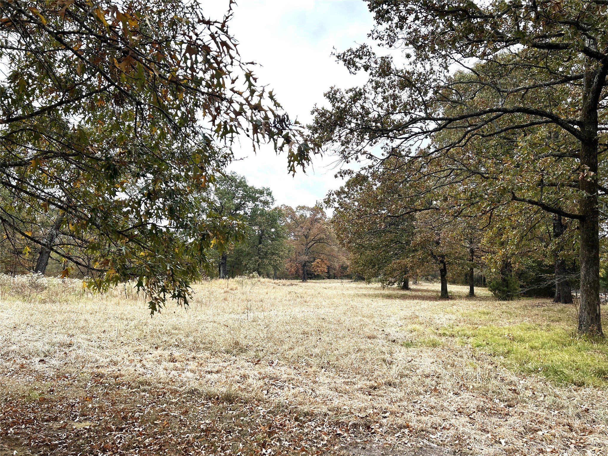 1535 County Road 33900 Powderly TX 75473