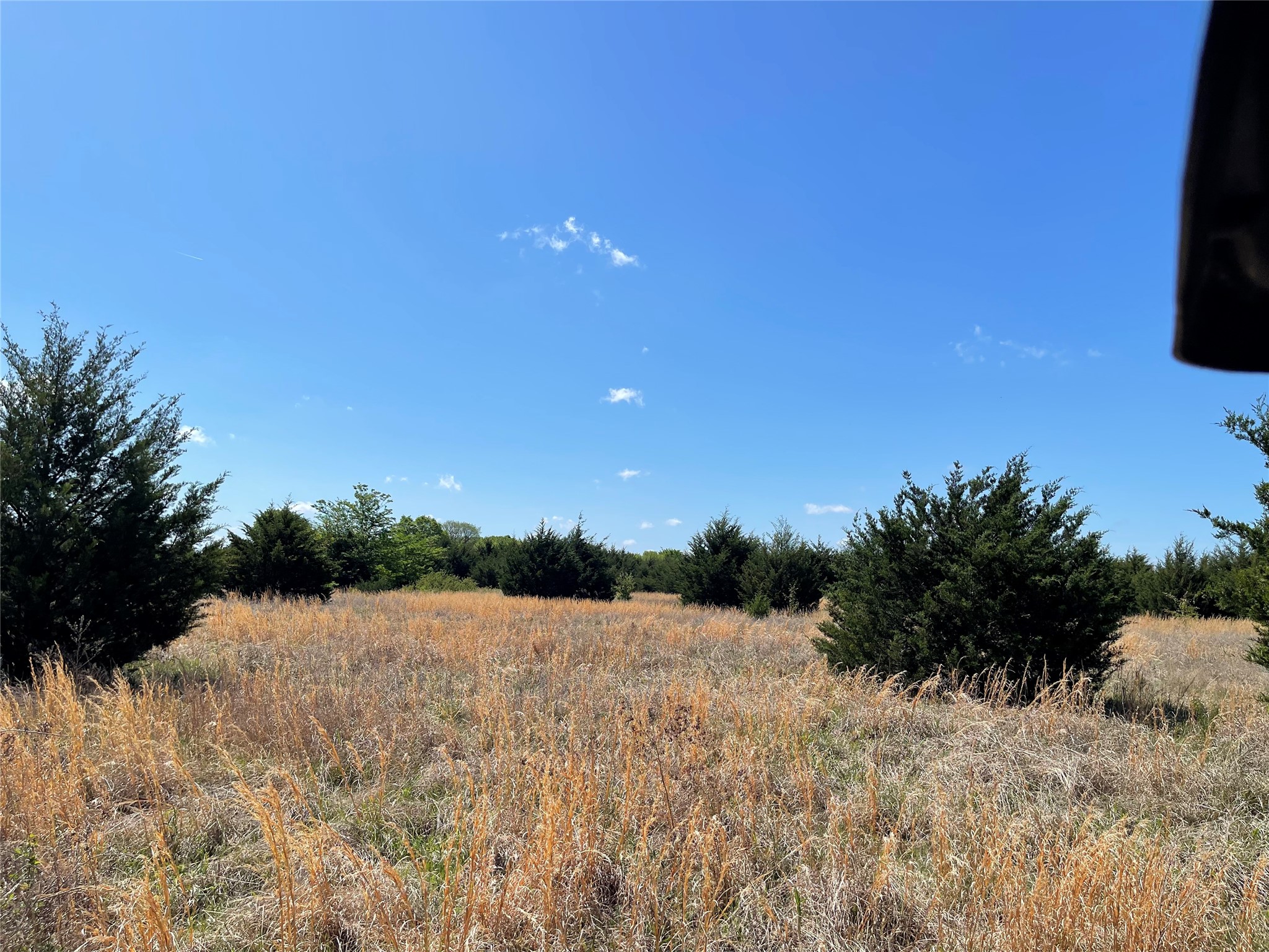 Tbd County Road 1400 Ravenna TX 75476