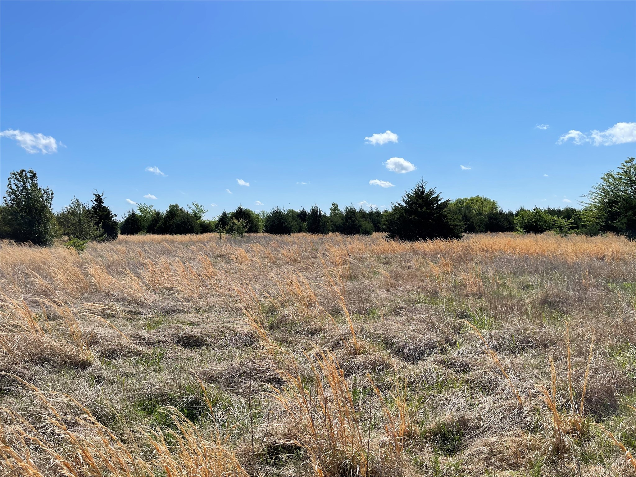 Tbd County Road 1400 Ravenna TX 75476