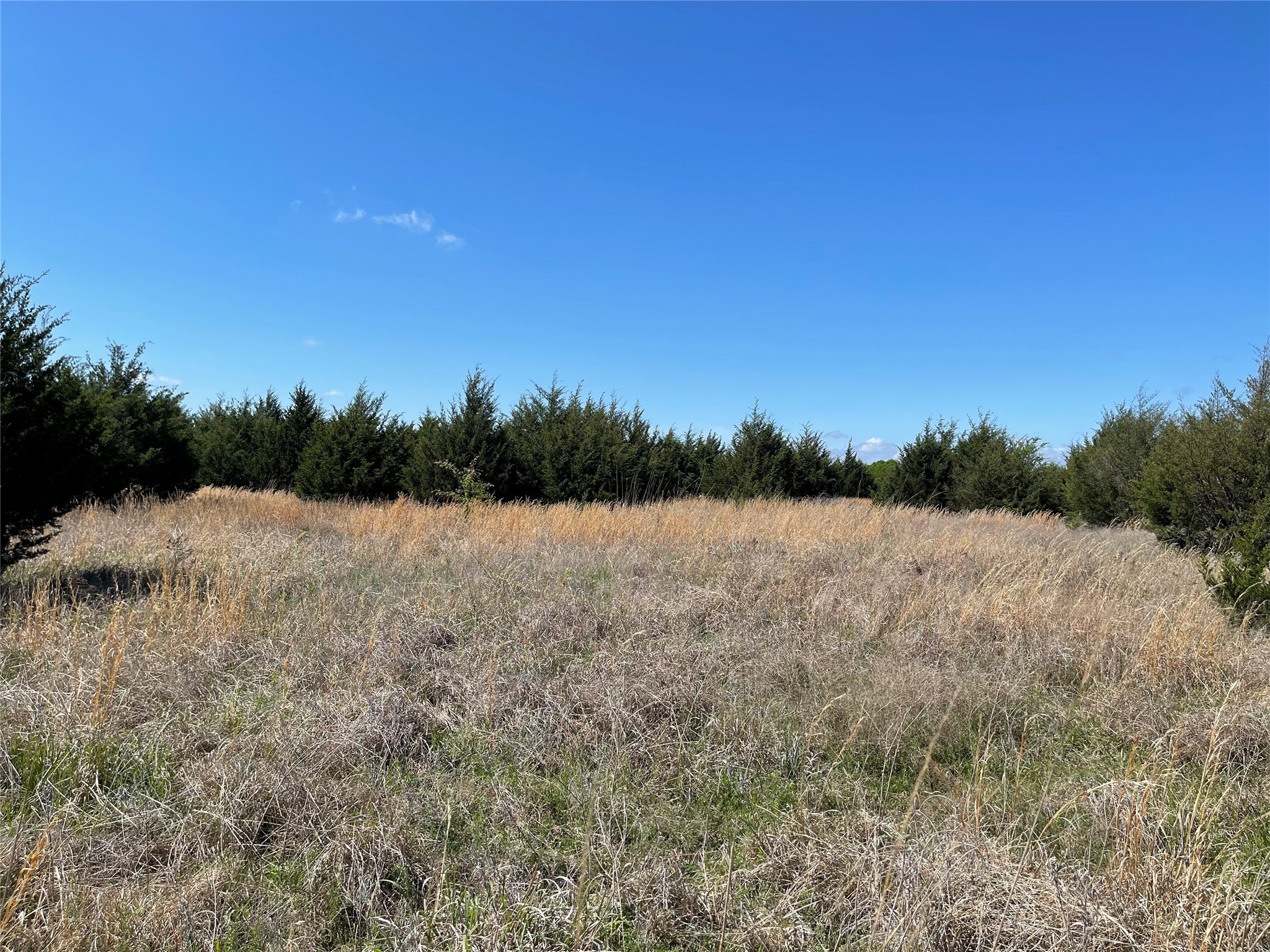 Tbd County Road 1400 Ravenna TX 75476