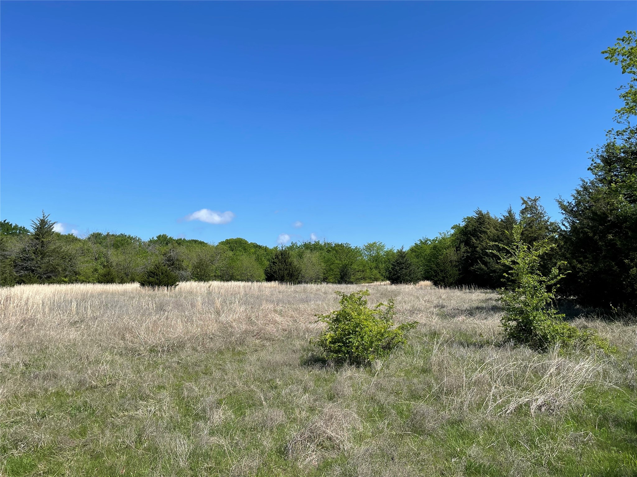 Tbd County Road 1400 Ravenna TX 75476