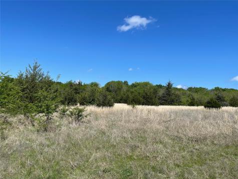 Tbd County Road 1400 Ravenna TX 75476