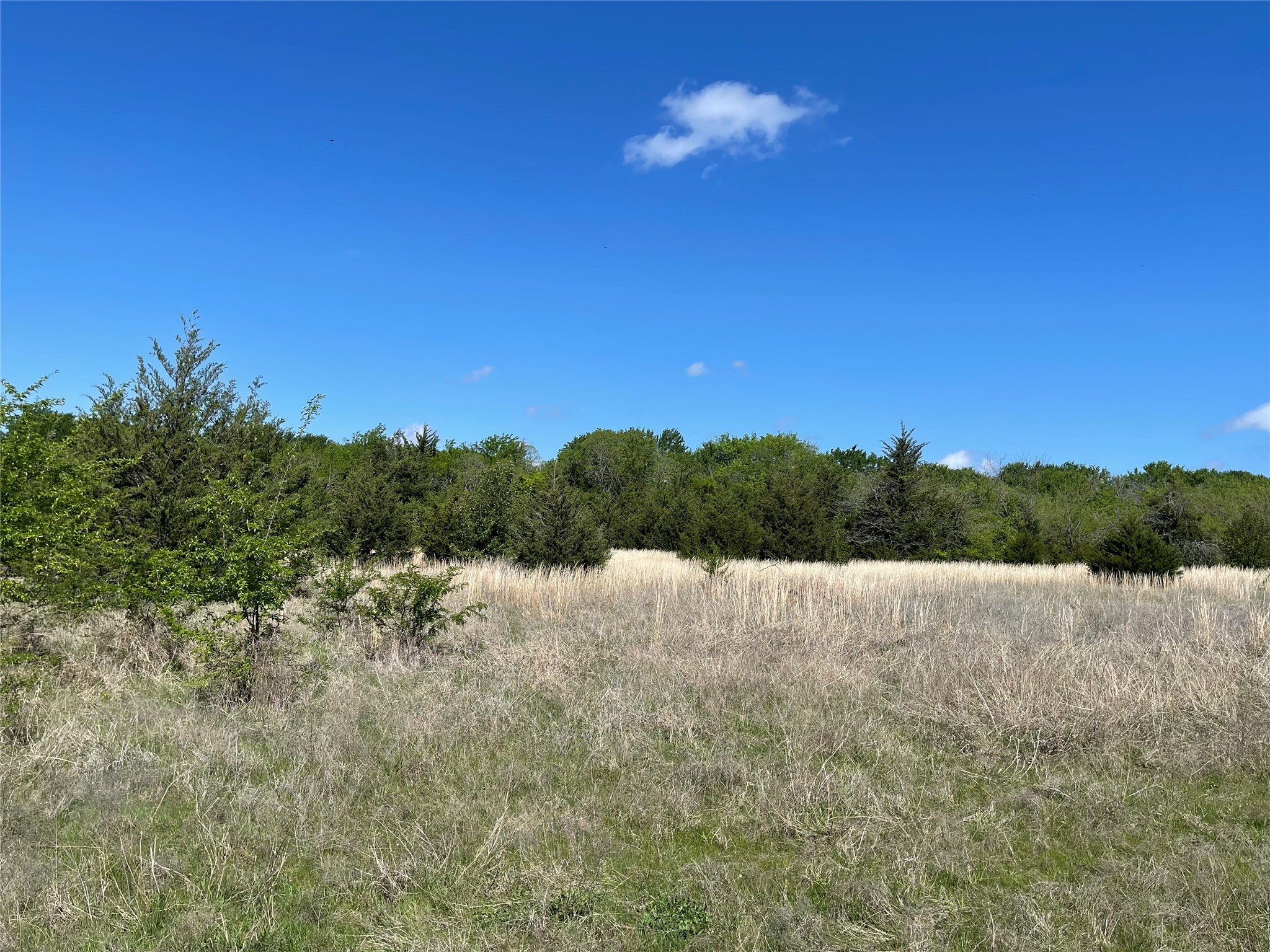 Tbd County Road 1400 Ravenna TX 75476