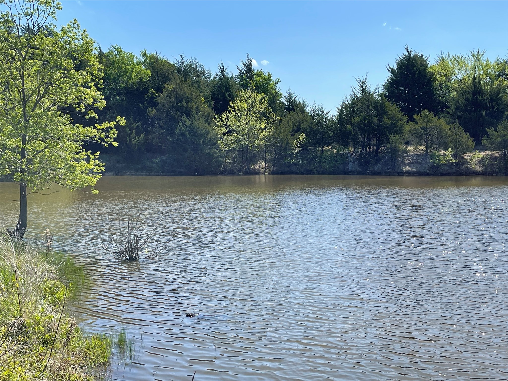Tbd County Road 1400 Ravenna TX 75476