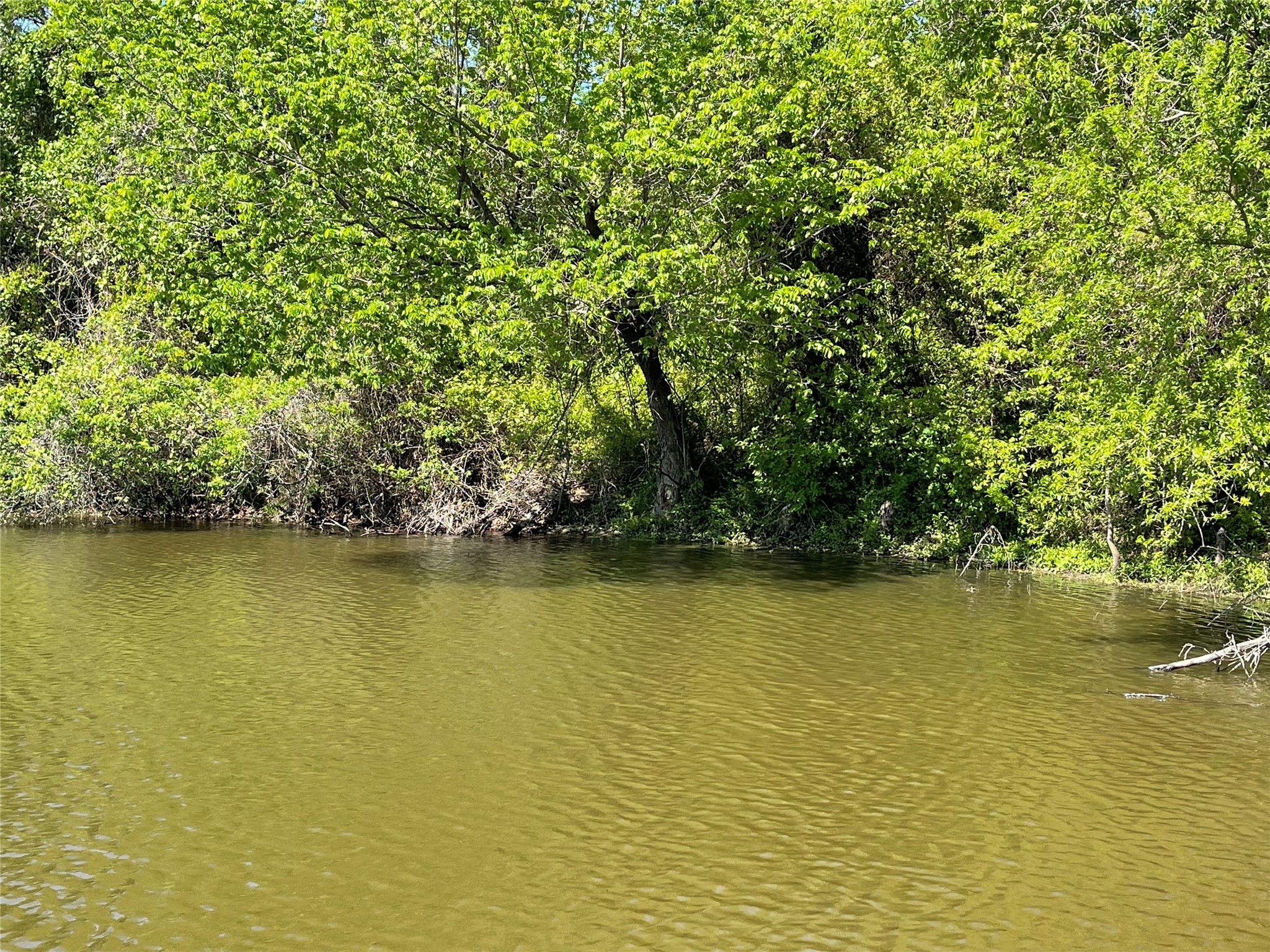 Tbd County Road 1400 Ravenna TX 75476