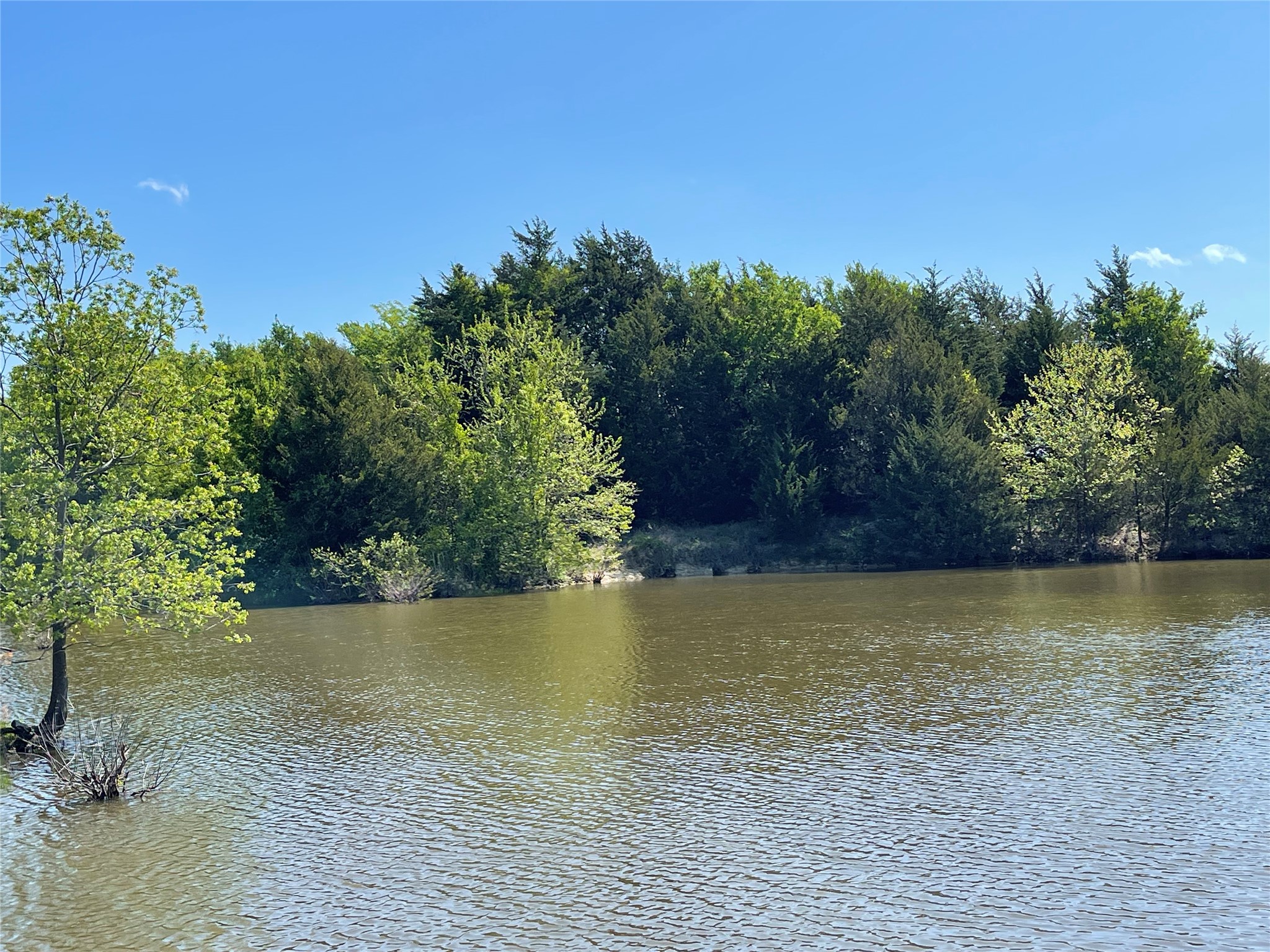 Tbd County Road 1400 Ravenna TX 75476