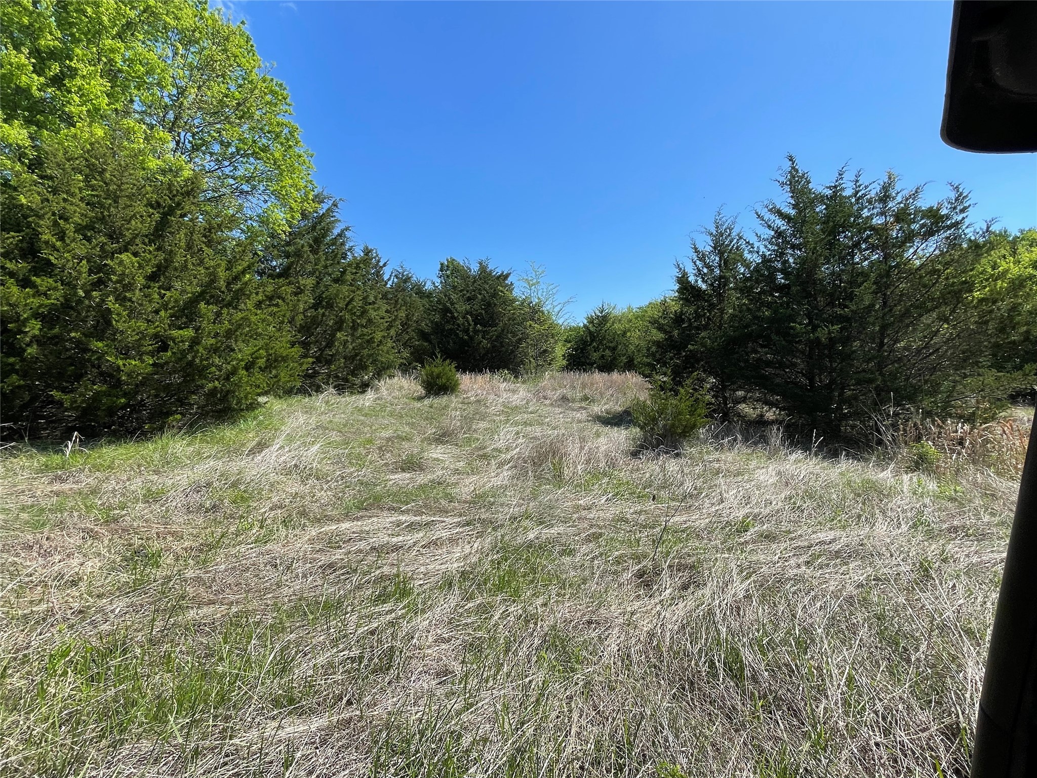 Tbd County Road 1400 Ravenna TX 75476
