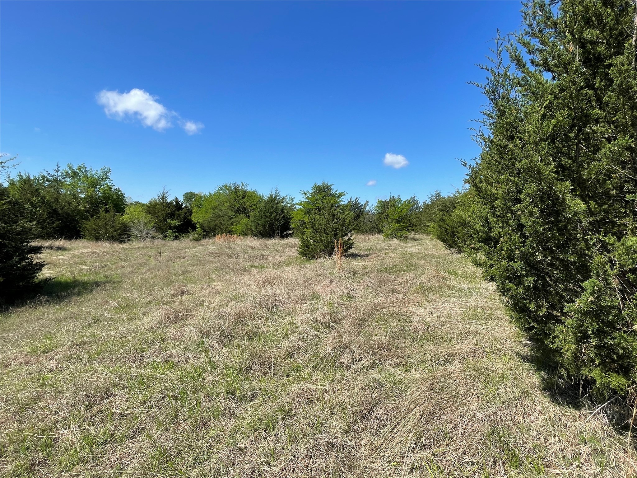 Tbd County Road 1400 Ravenna TX 75476